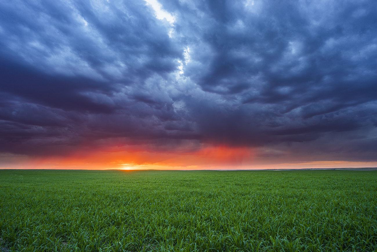 Sony a7R + ZEISS Batis 25mm F2 sample photo. Stormy sunset photography