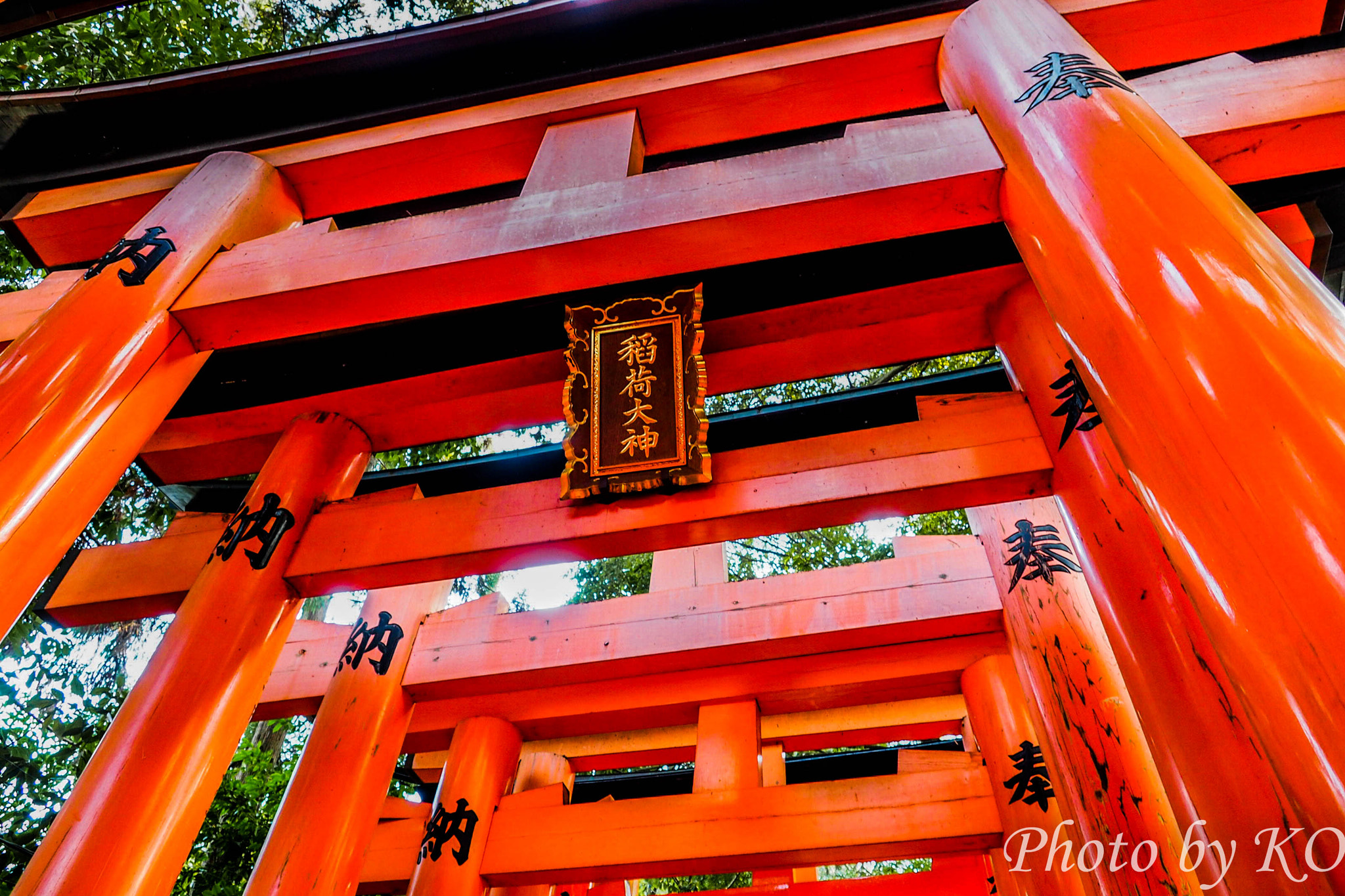 Olympus OM-D E-M5 II + OLYMPUS M.12-50mm F3.5-6.3 sample photo. Continuous torii photography