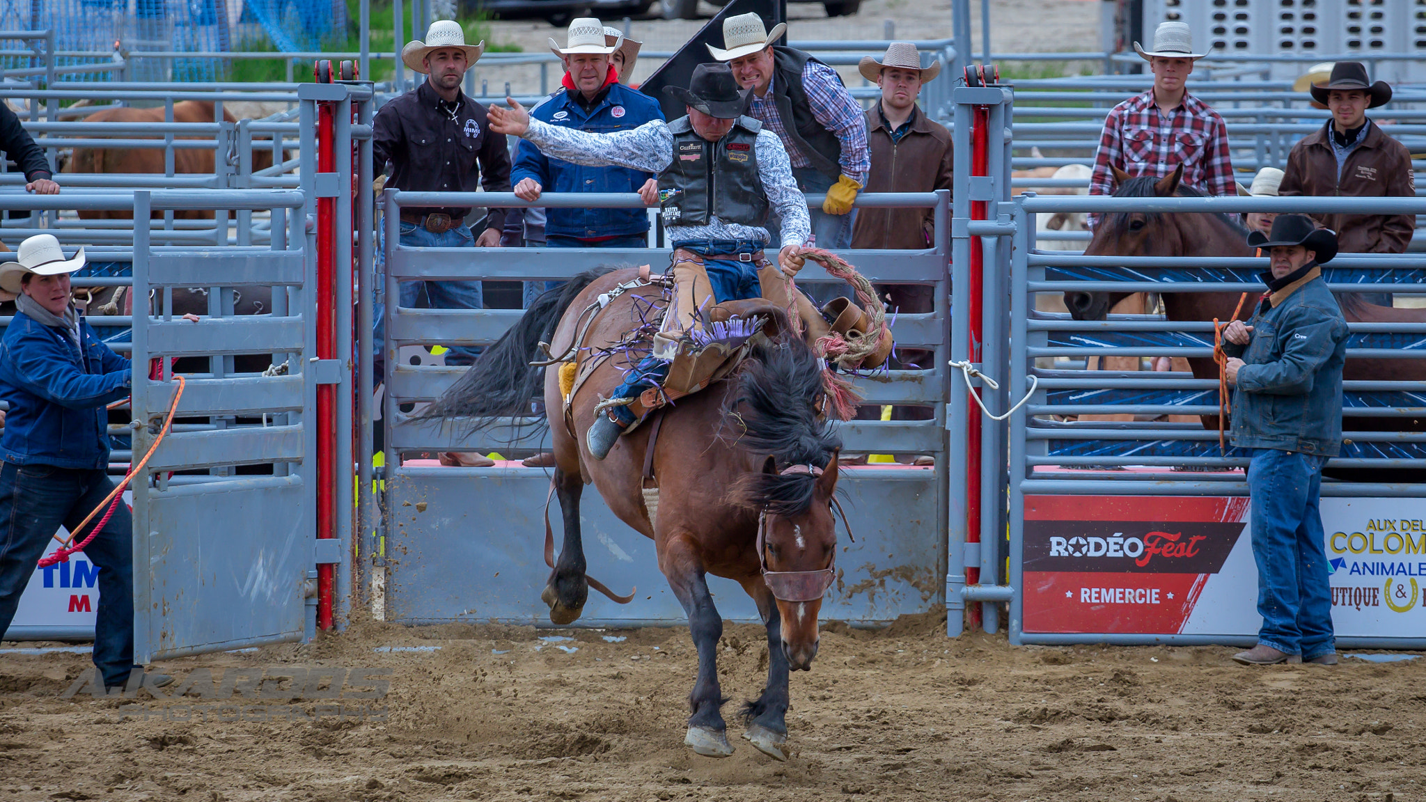 Canon EOS 700D (EOS Rebel T5i / EOS Kiss X7i) + Canon EF 70-200mm F4L USM sample photo. Wild horse 6 - rodéo fest de val saint-côme 2016 photography