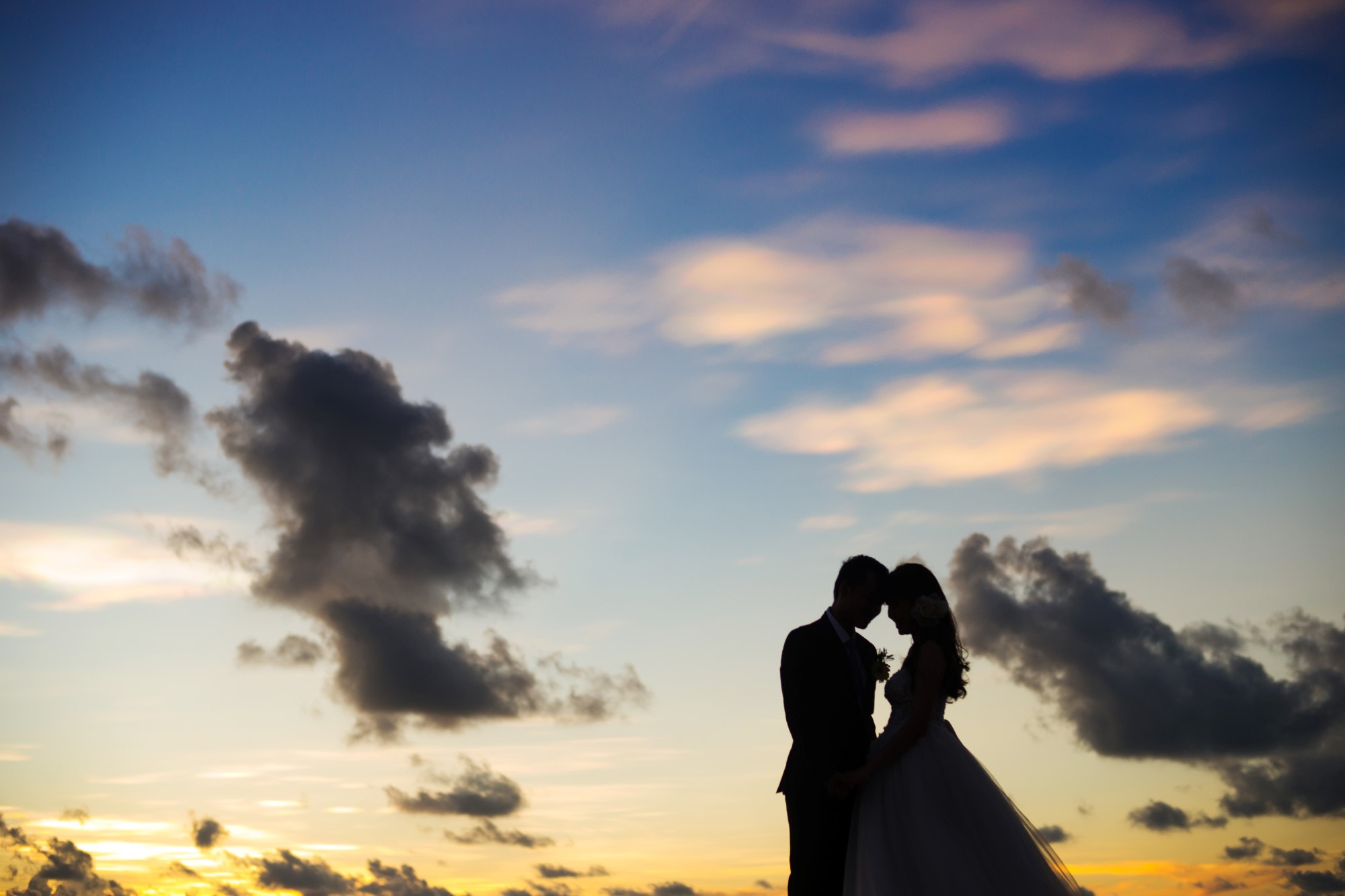 Sony a99 II + Sony Planar T* 50mm F1.4 ZA SSM sample photo. My wedding 09/07/2016 photography