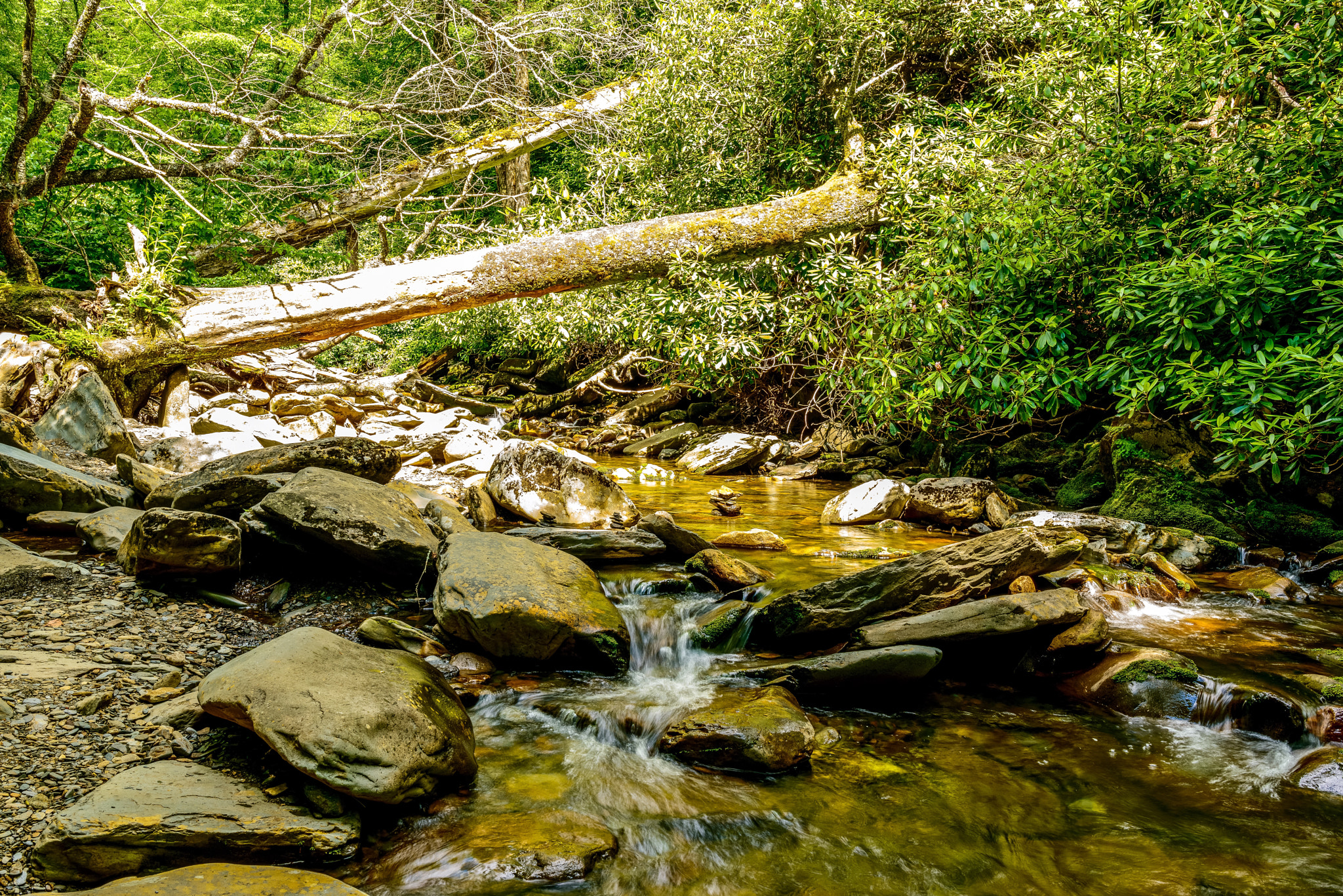 Nikon D800E + Nikon AF-S Nikkor 28mm F1.8G sample photo. "stream" photography