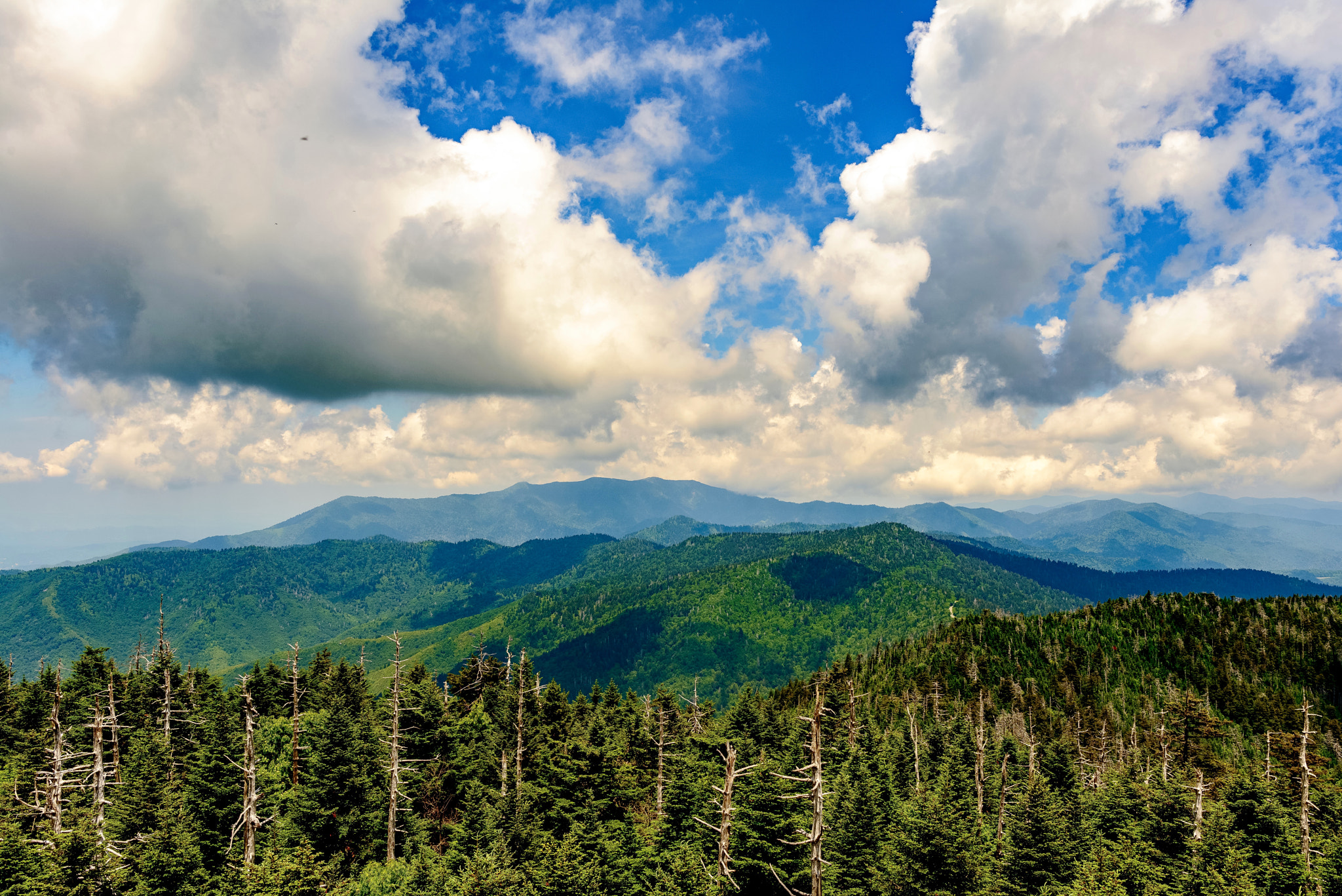 Nikon D800E + Nikon AF-S Nikkor 28mm F1.8G sample photo. "smokey mts." photography