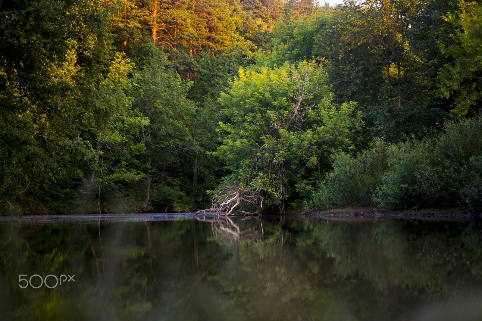 Sony SLT-A65 (SLT-A65V) + Sony DT 50mm F1.8 SAM sample photo. Летний день photography