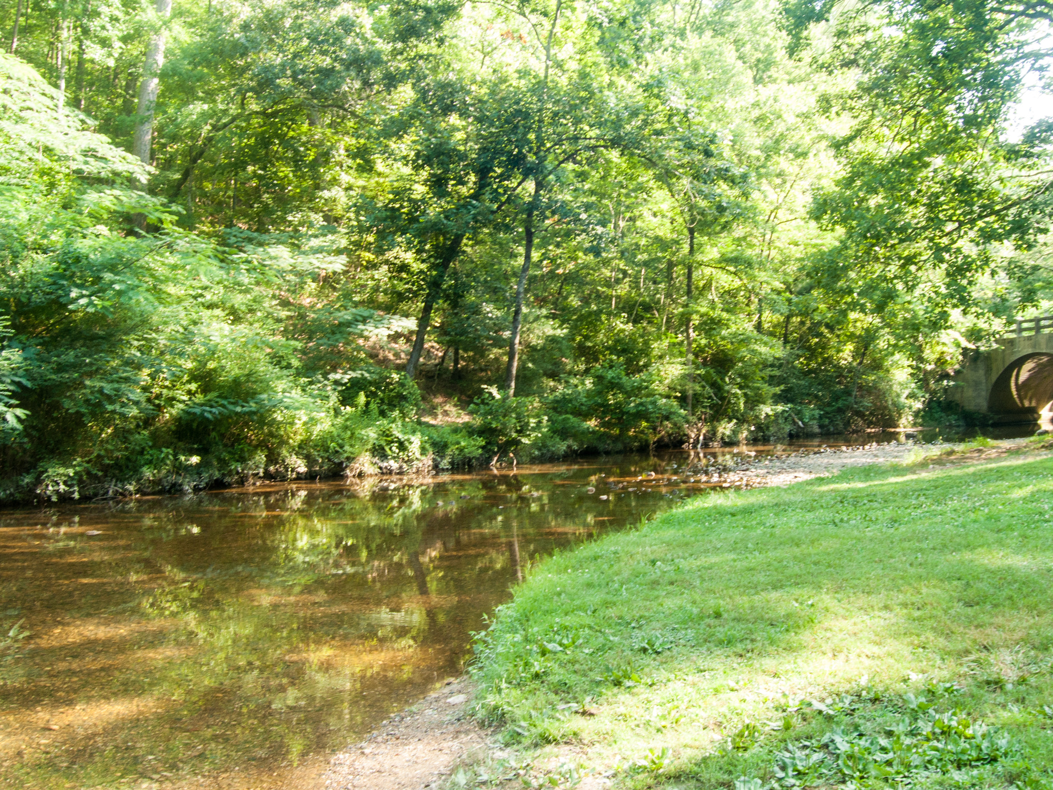 Olympus C7070WZ sample photo. Gulpha stream photography