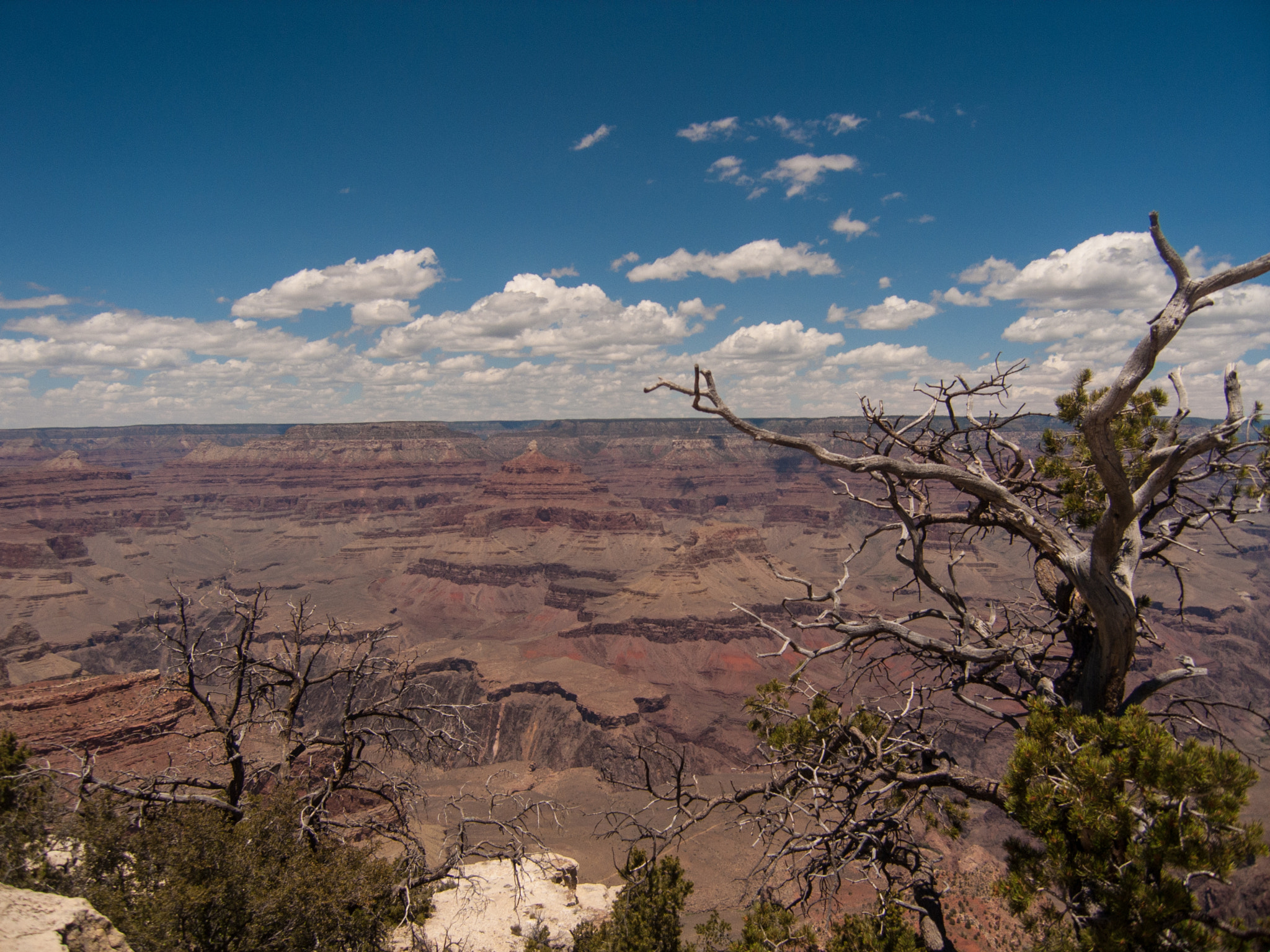 Olympus C7070WZ sample photo. Grand canyon photography