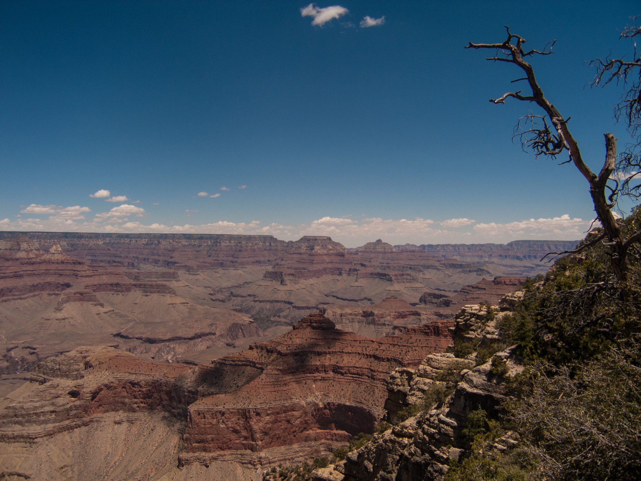 Olympus C7070WZ sample photo. Grand canyon photography