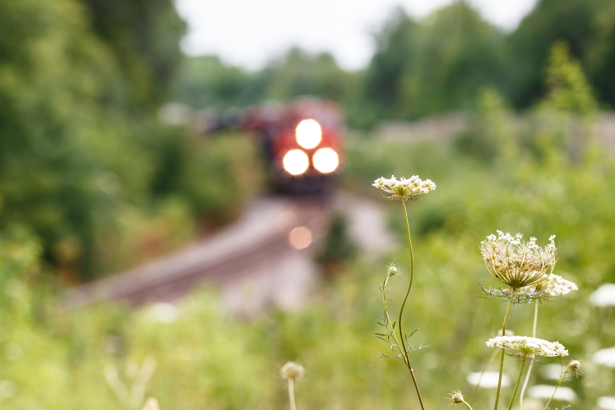 Canon EOS 70D + Canon EF 135mm F2L USM sample photo. Approaching train photography