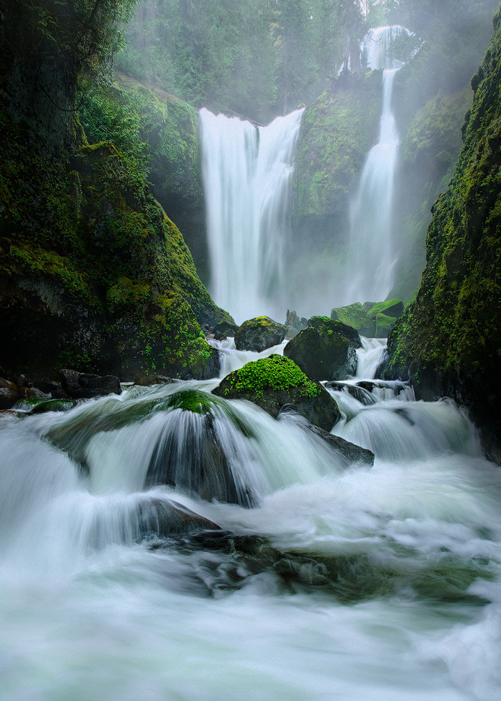 Sony a7R II + Canon EF 17-40mm F4L USM sample photo. Feel the power photography