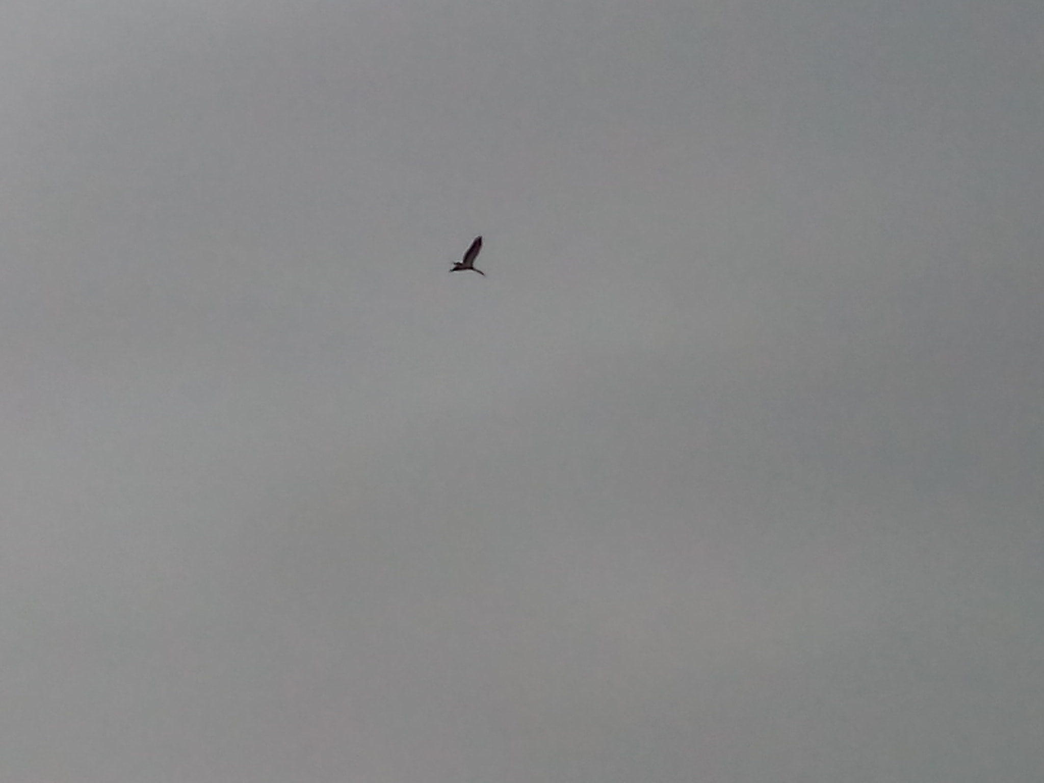 Micromax Canvas Spark sample photo