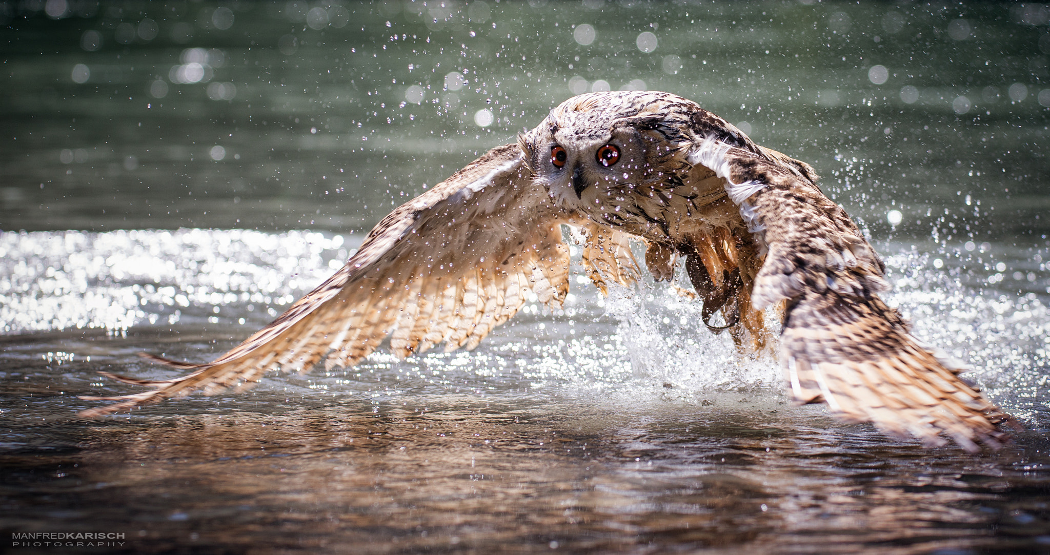 Canon EF 200mm F2.8L II USM sample photo. Cooling photography