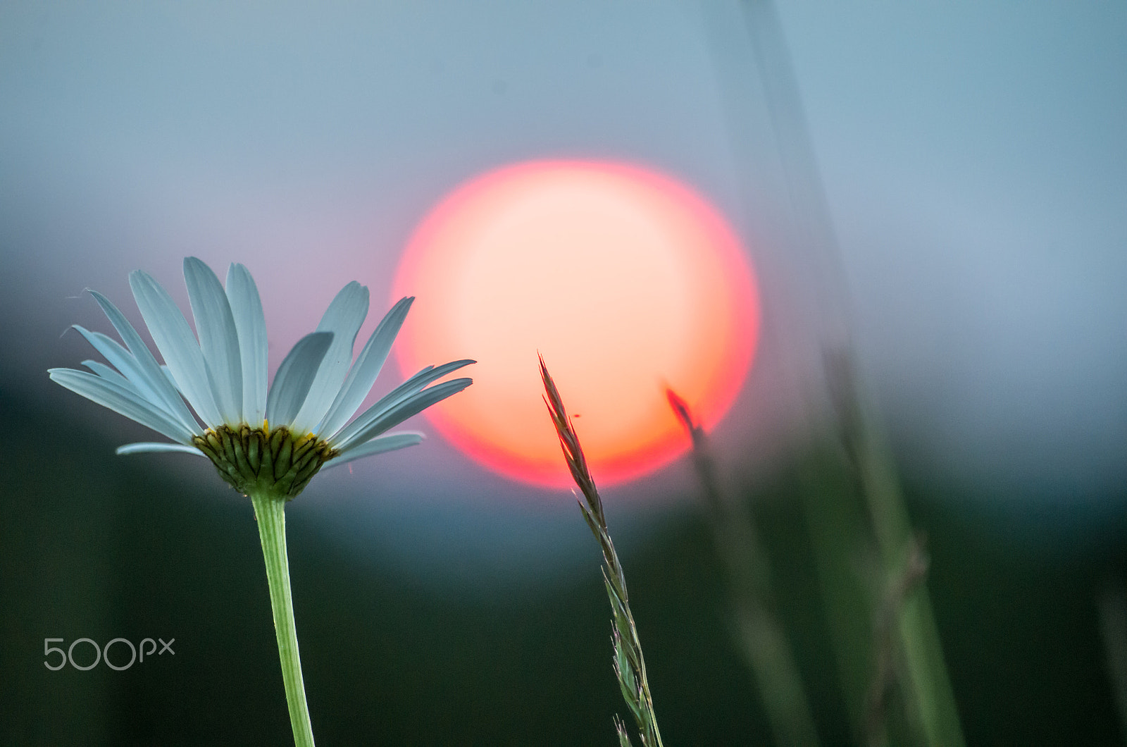 smc PENTAX-DA L 50-200mm F4-5.6 ED sample photo. The sun photography