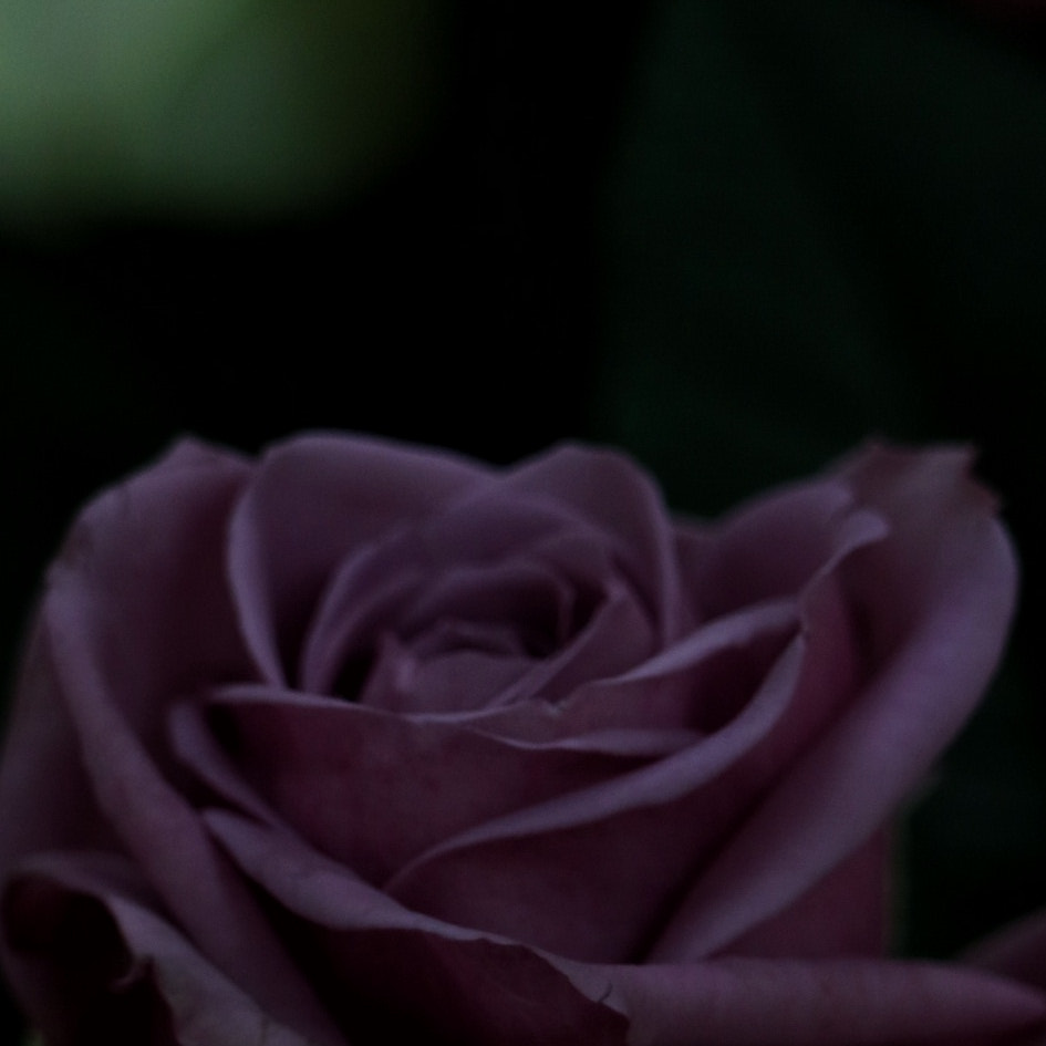 Canon EF-M 18-55mm F3.5-5.6 IS STM sample photo. Evening photography