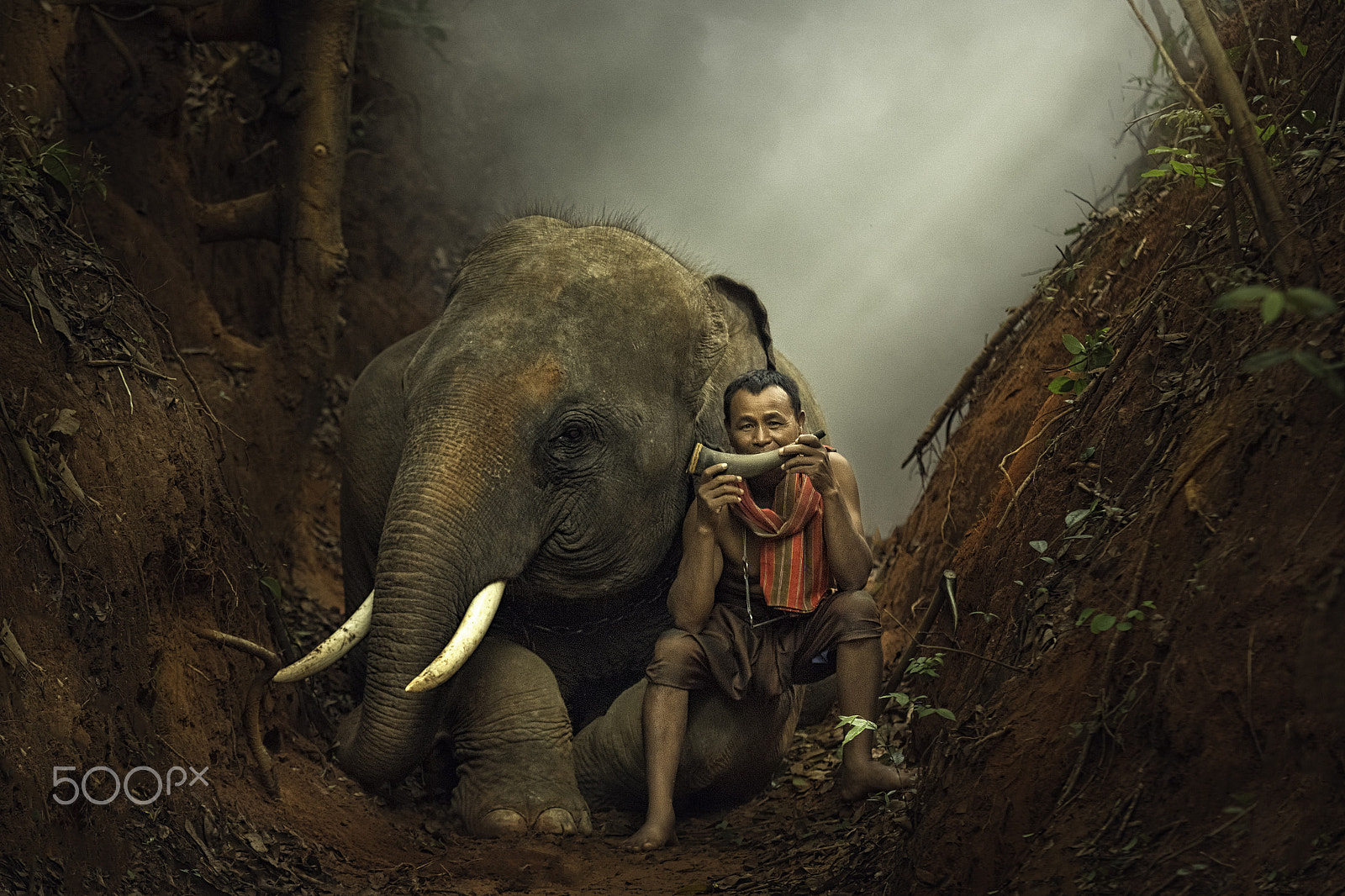 Sigma 70-200mm F2.8 EX DG OS HSM sample photo. Elephant keeper photography