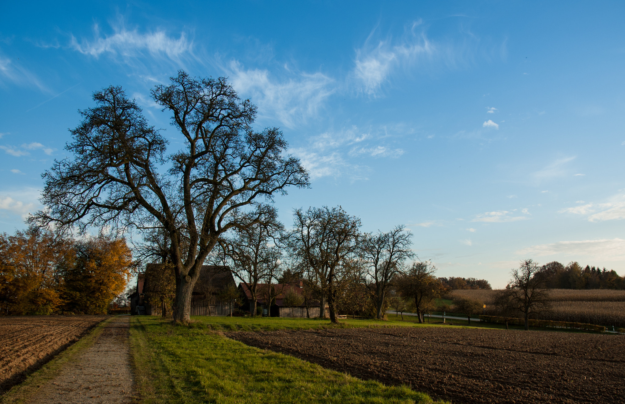 Nikon D50 sample photo. "birnbam" photography