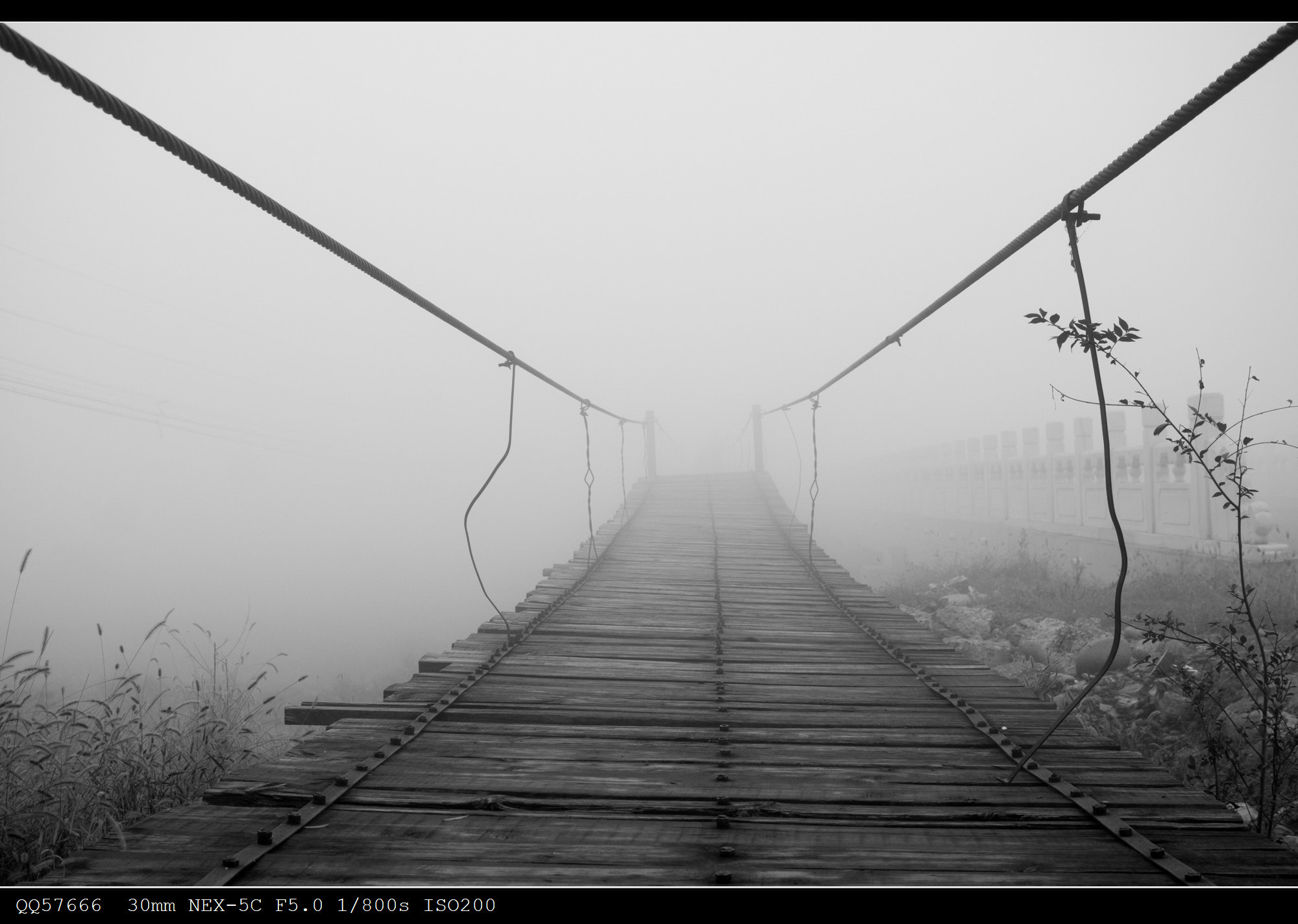 Sony NEX-5C + Sony DT 30mm F2.8 Macro SAM sample photo. Suspension bridge photography