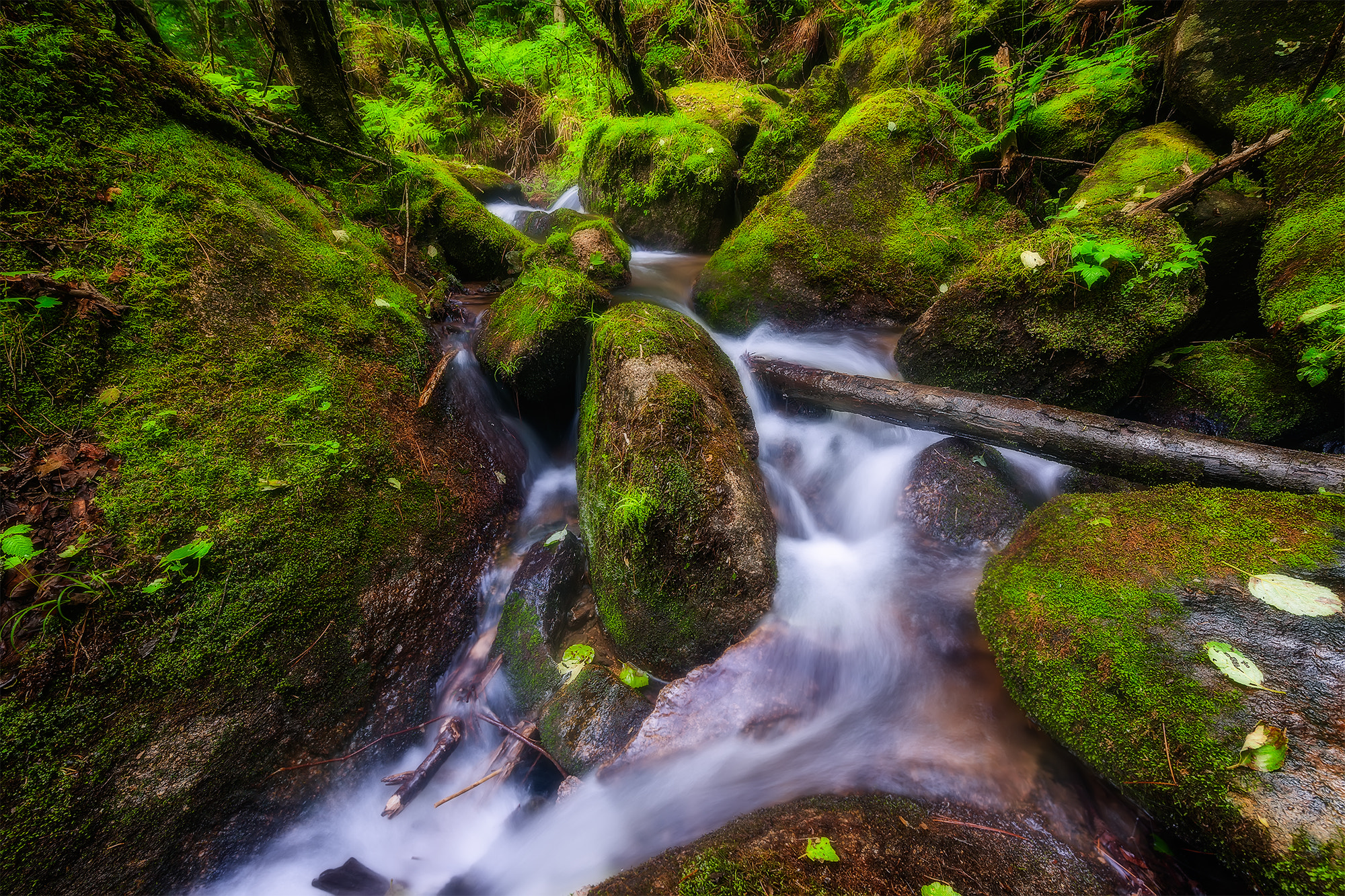 Nikon D3X sample photo. Winding water photography