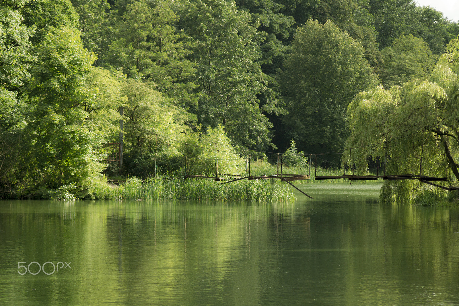 Sony Alpha DSLR-A450 + Sigma 70-300mm F4-5.6 DL Macro sample photo. Broken bridge photography