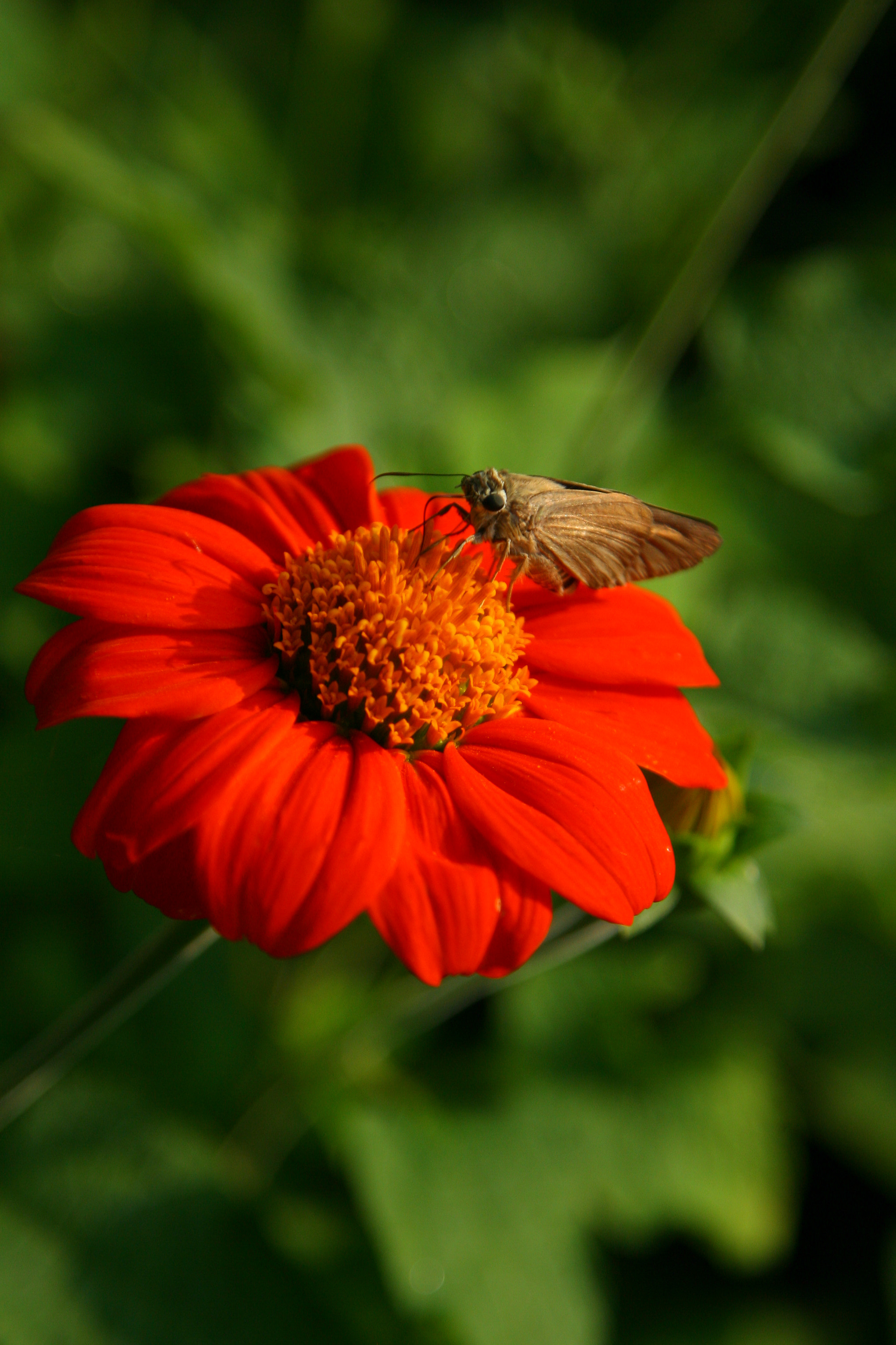 Canon EOS-1D Mark II N sample photo. Workhand photography