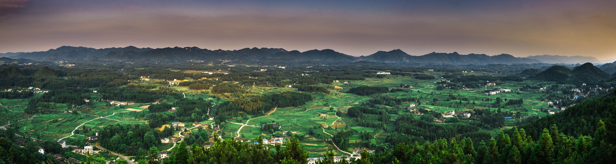 Nikon D800E + Nikon AF-S Nikkor 35mm F1.4G sample photo. 凤冈 茶海之心 photography