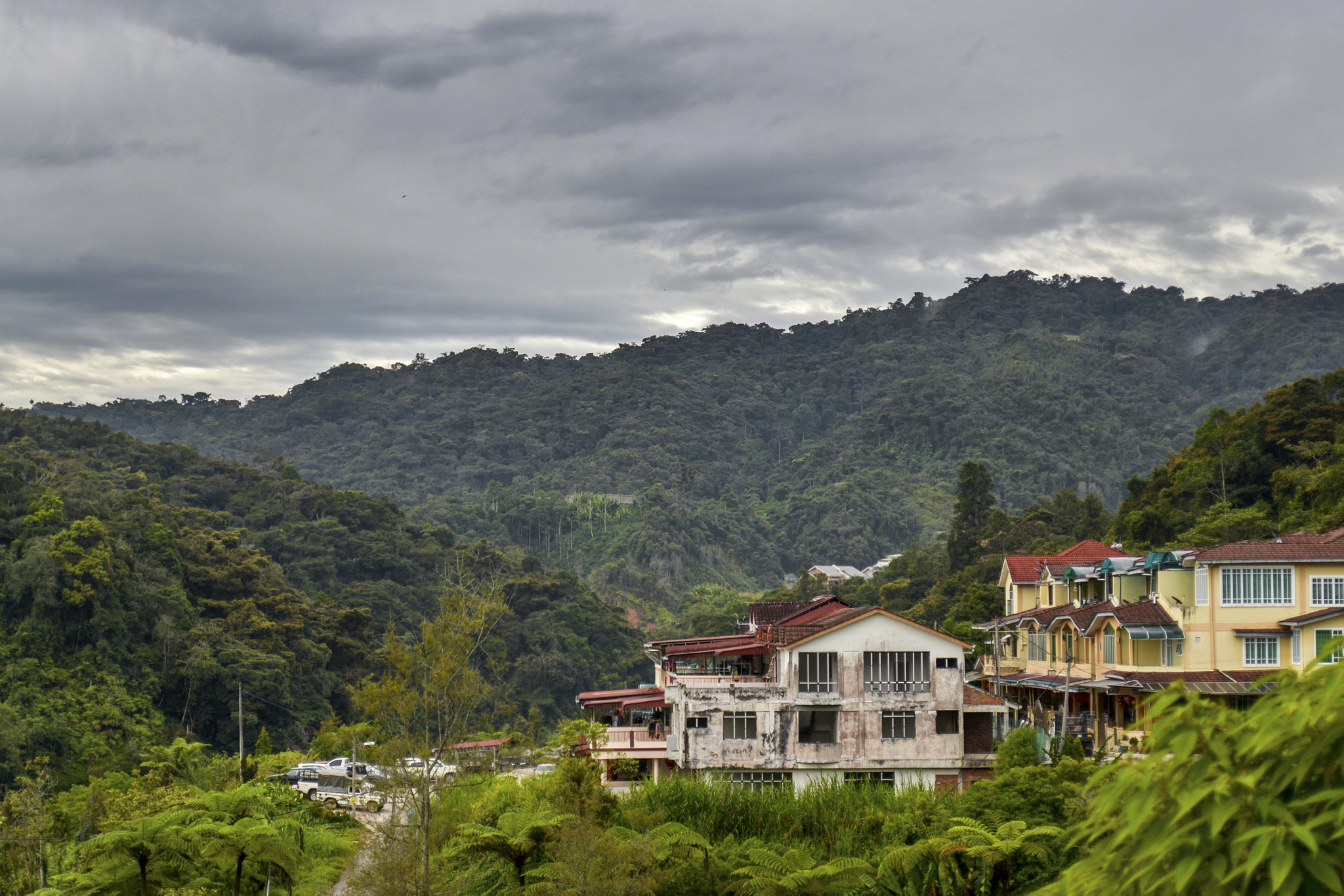 AF Zoom-Nikkor 28-80mm f/3.3-5.6G sample photo. Cloudy morning photography