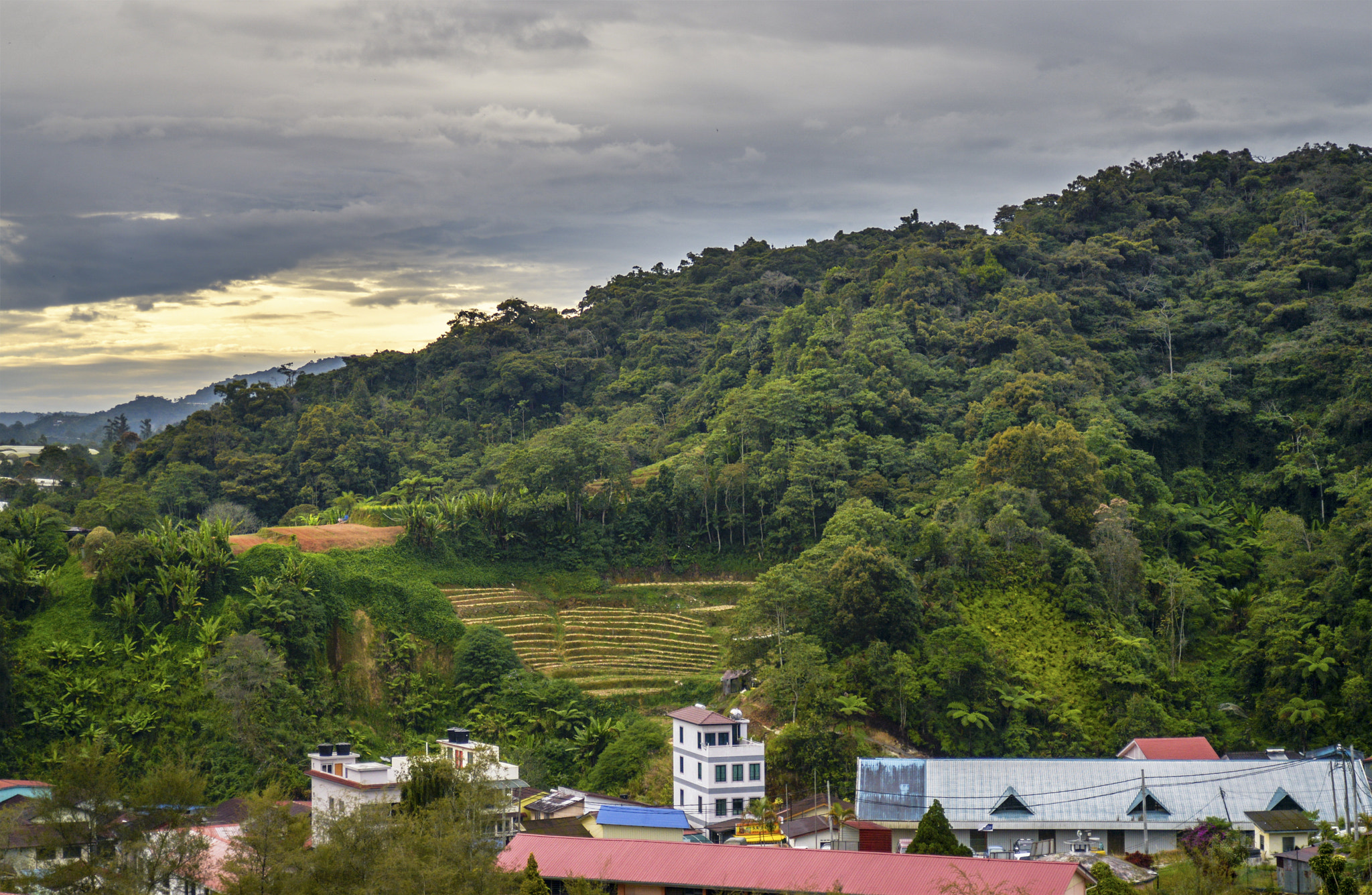 AF Zoom-Nikkor 28-80mm f/3.3-5.6G sample photo. Tringkap valley in the morning photography