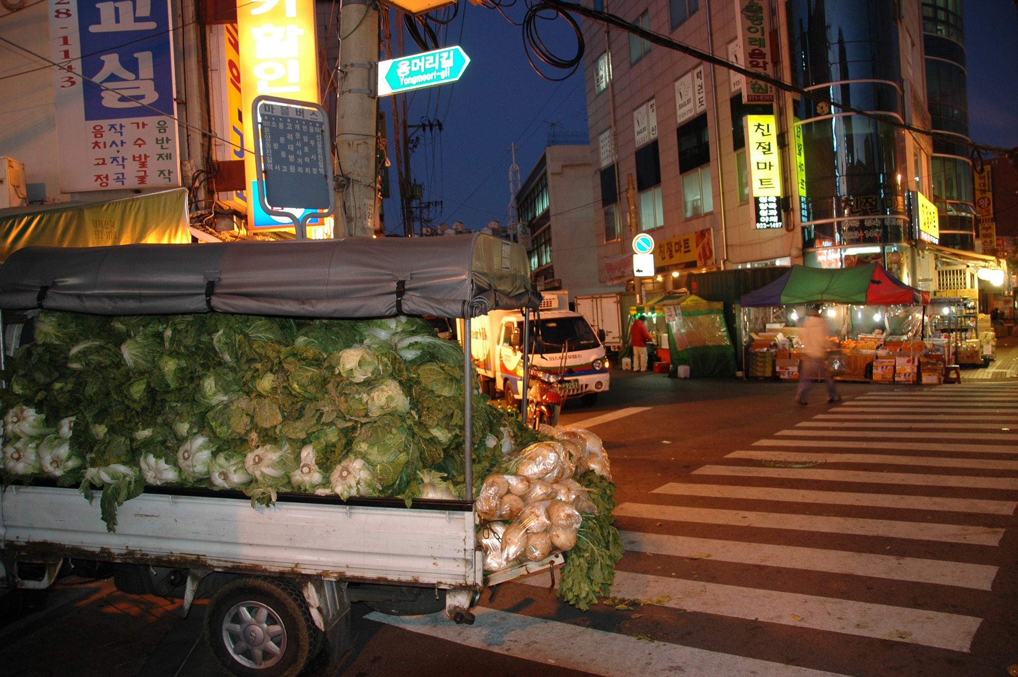 Nikon D70 sample photo. Cabbage photography