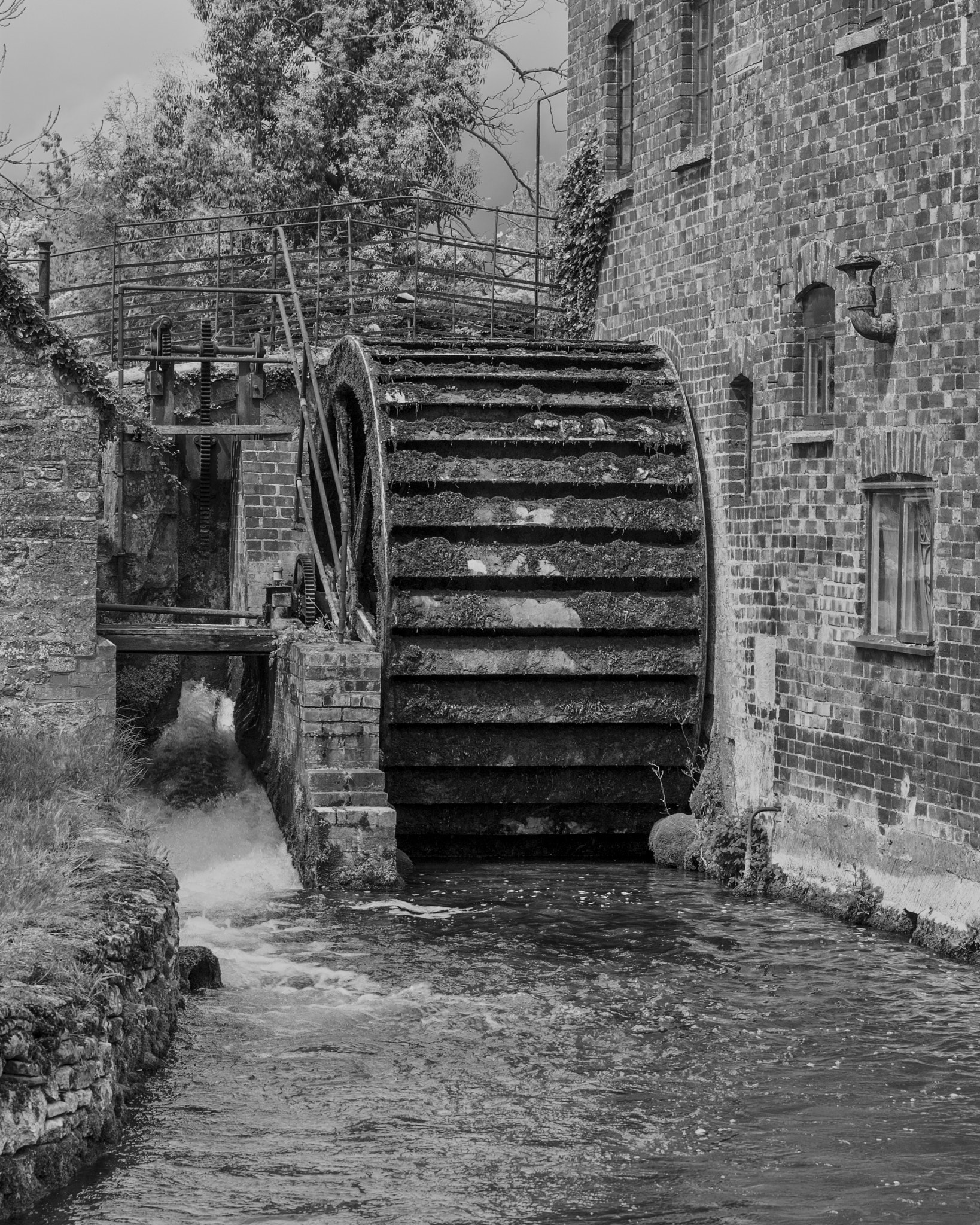Sony Alpha DSLR-A350 sample photo. The old waterwheel photography