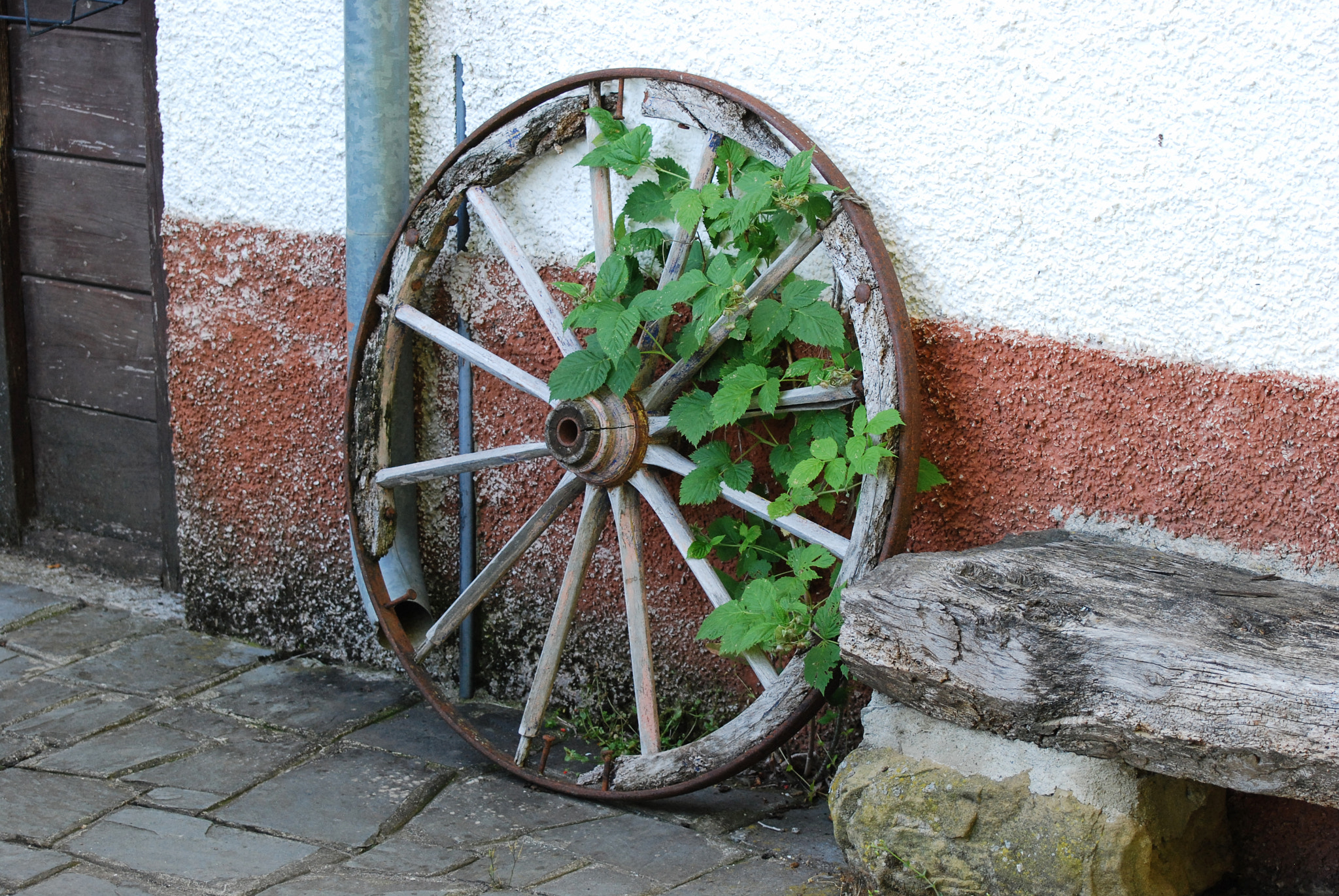 Nikon D60 sample photo. Wheel photography