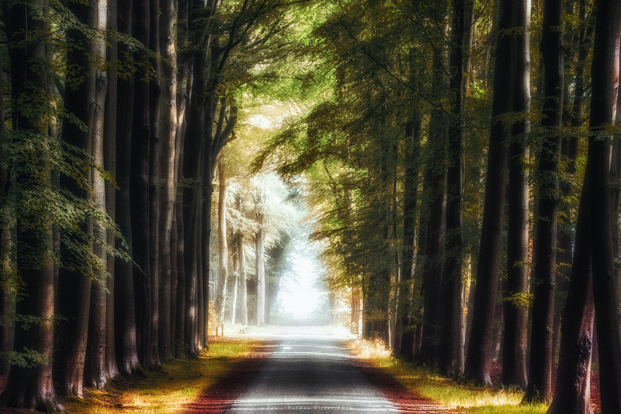 Canon EF 50-200mm f/3.5-4.5 sample photo. Ephemeral morning... photography