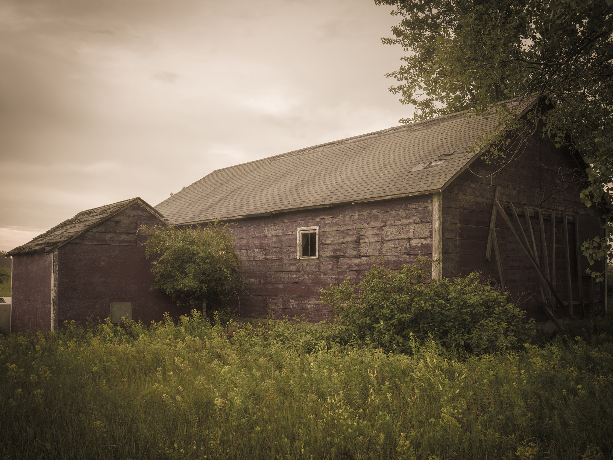 Panasonic Lumix DMC-GF7 sample photo. Abandoned photography