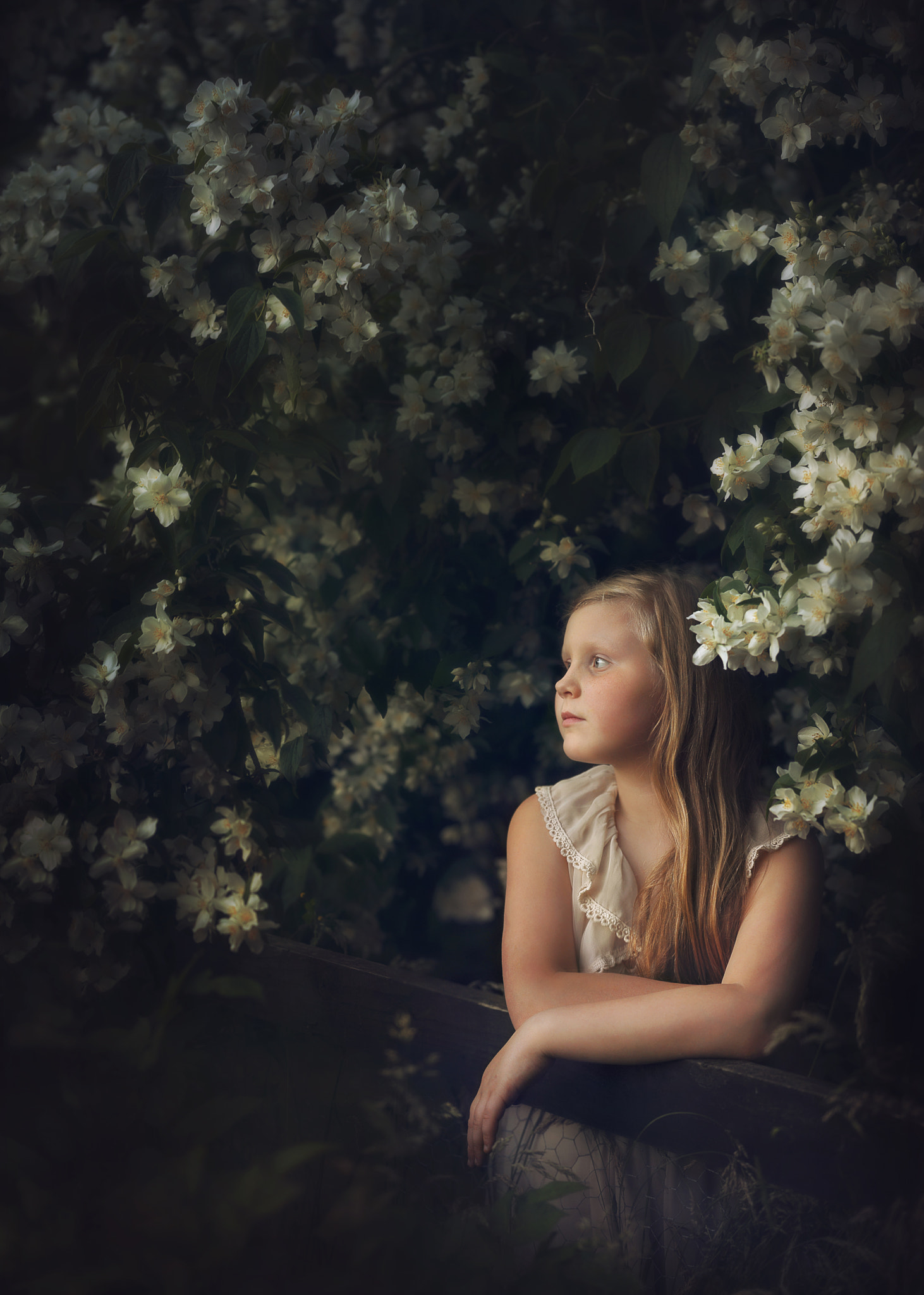 Sigma 105mm F2.8 EX DG OS HSM sample photo. Jasmin photography