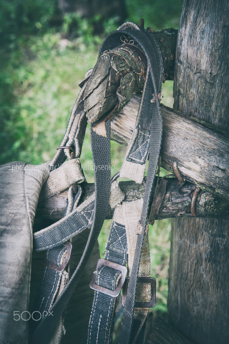 Canon EOS 1000D (EOS Digital Rebel XS / EOS Kiss F) sample photo. Old village style. harness on the old fence. photography