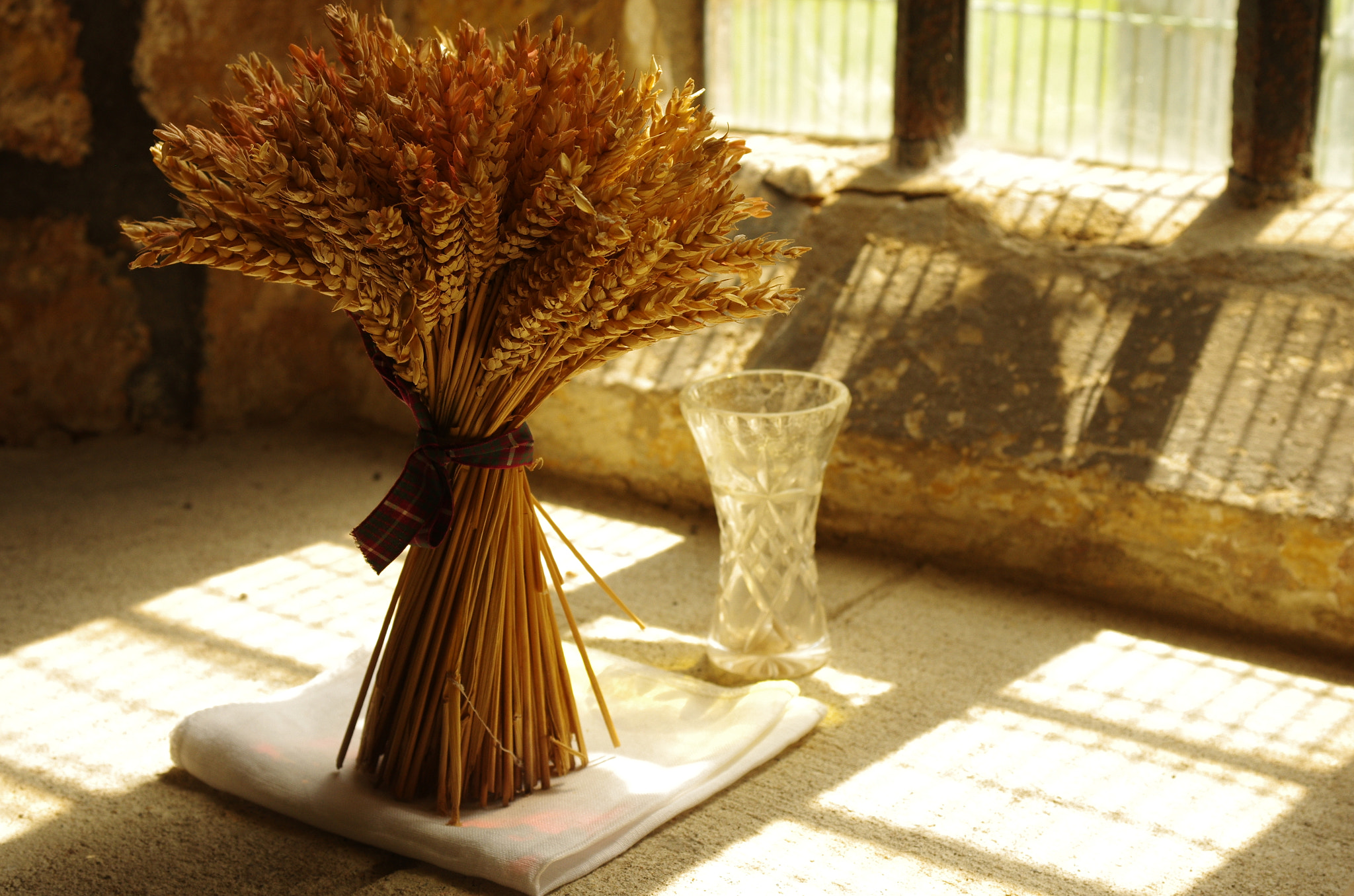 HD Pentax DA 40mm F2.8 Limited sample photo. Ears of corn near to water photography