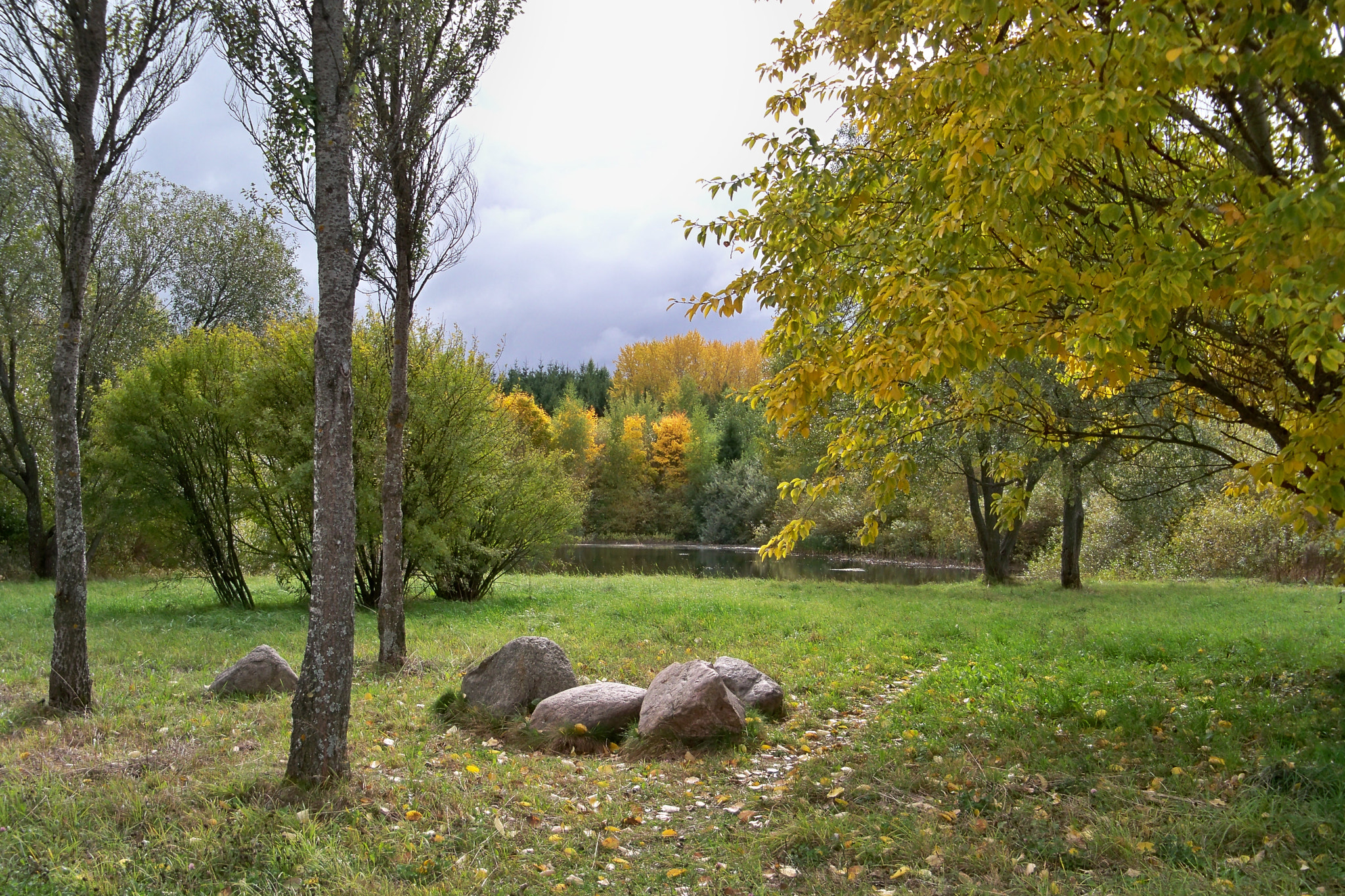 Kodak EASYSHARE Z950 DIGITAL CAMERA sample photo. My beautiful autumn photography