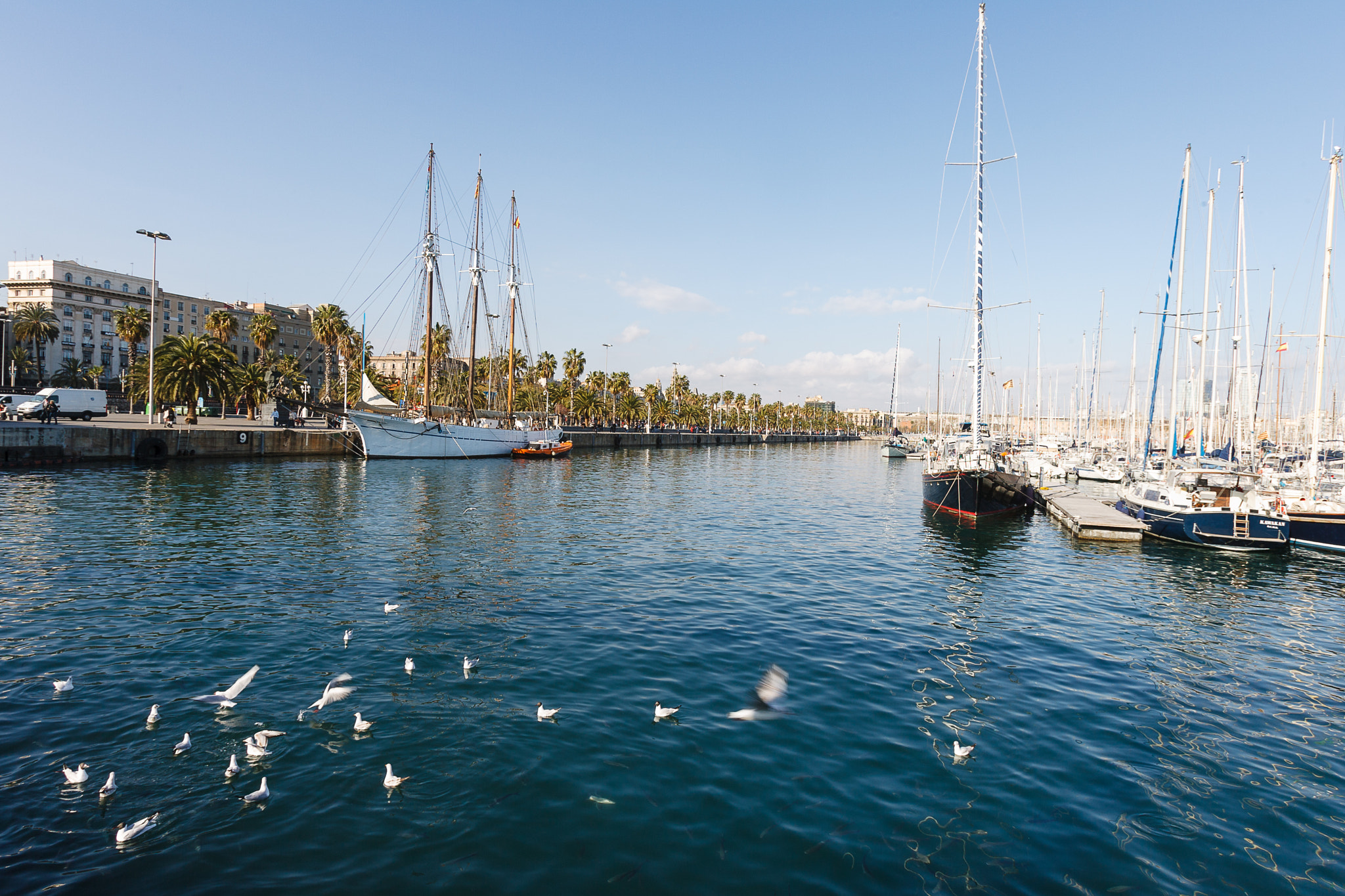 Canon EF 16-35mm F2.8L USM sample photo. Barcelona photography