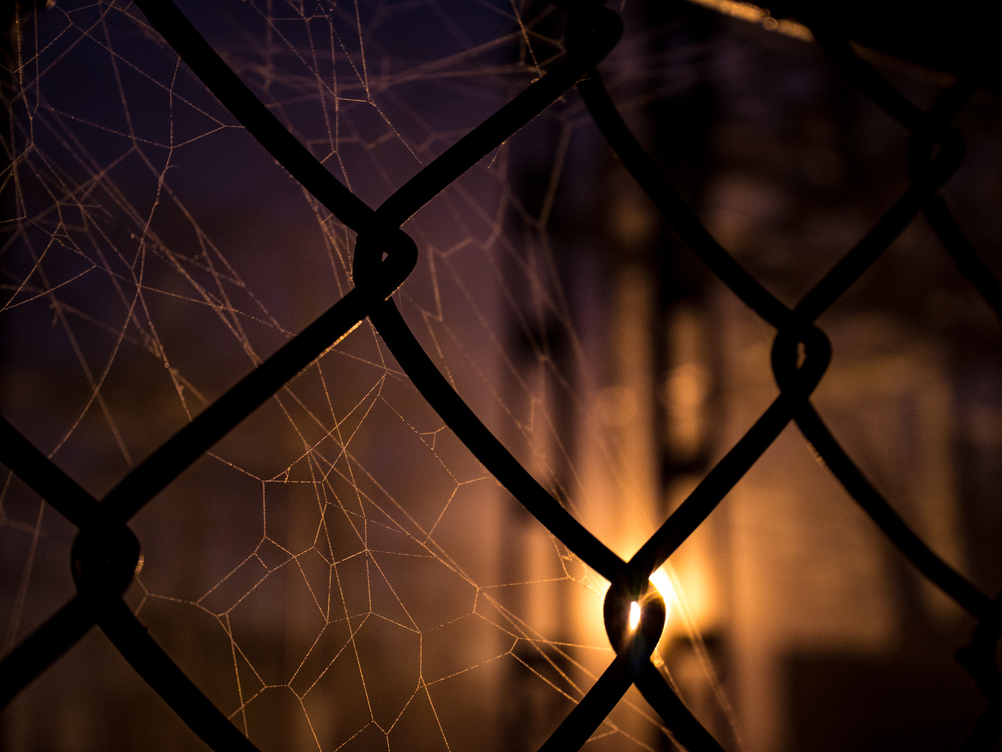 Panasonic Lumix DMC-GF7 sample photo. Cobweb and chain link photography