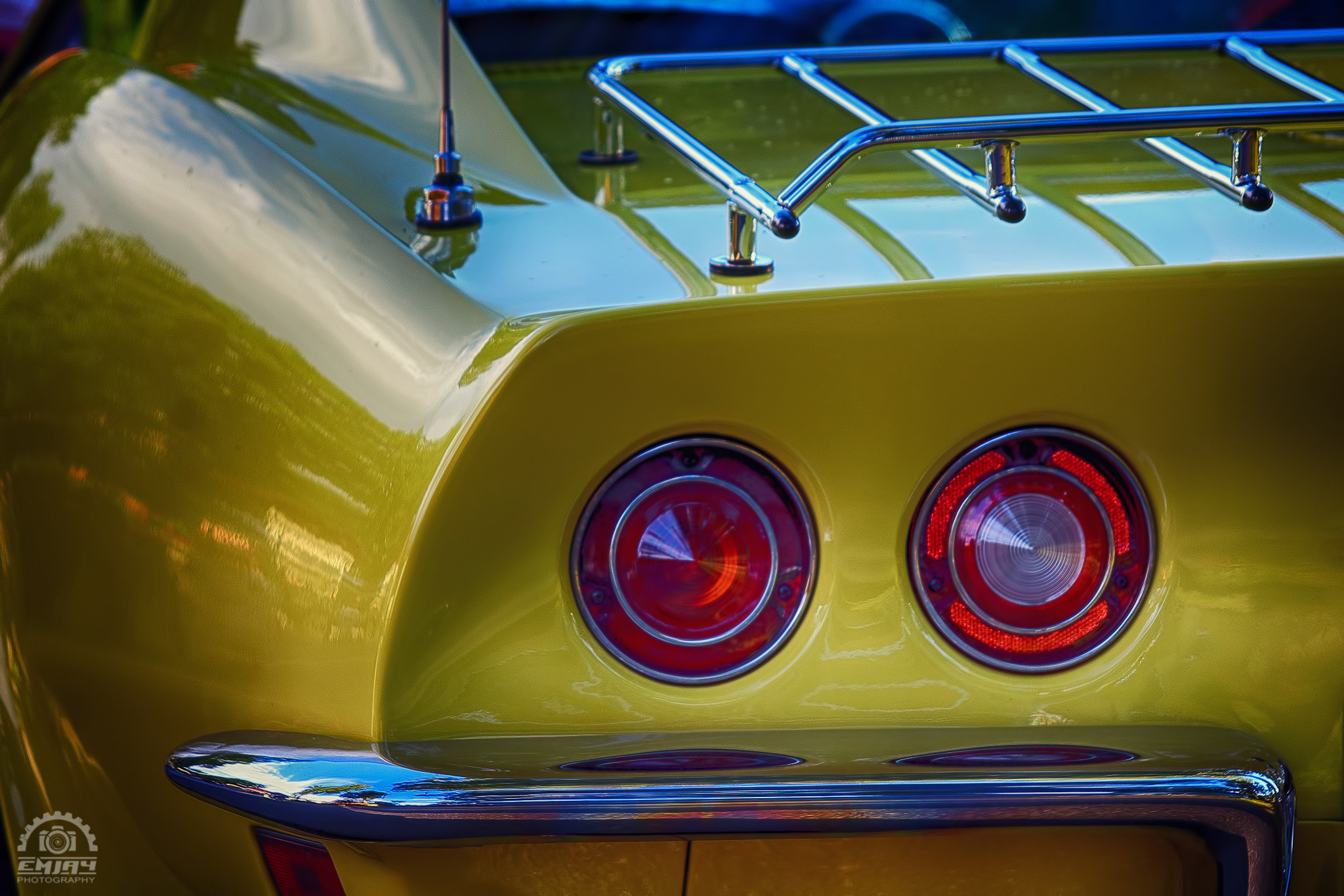 Sigma 50-200mm F4-5.6 DC OS HSM sample photo. Stingray photography