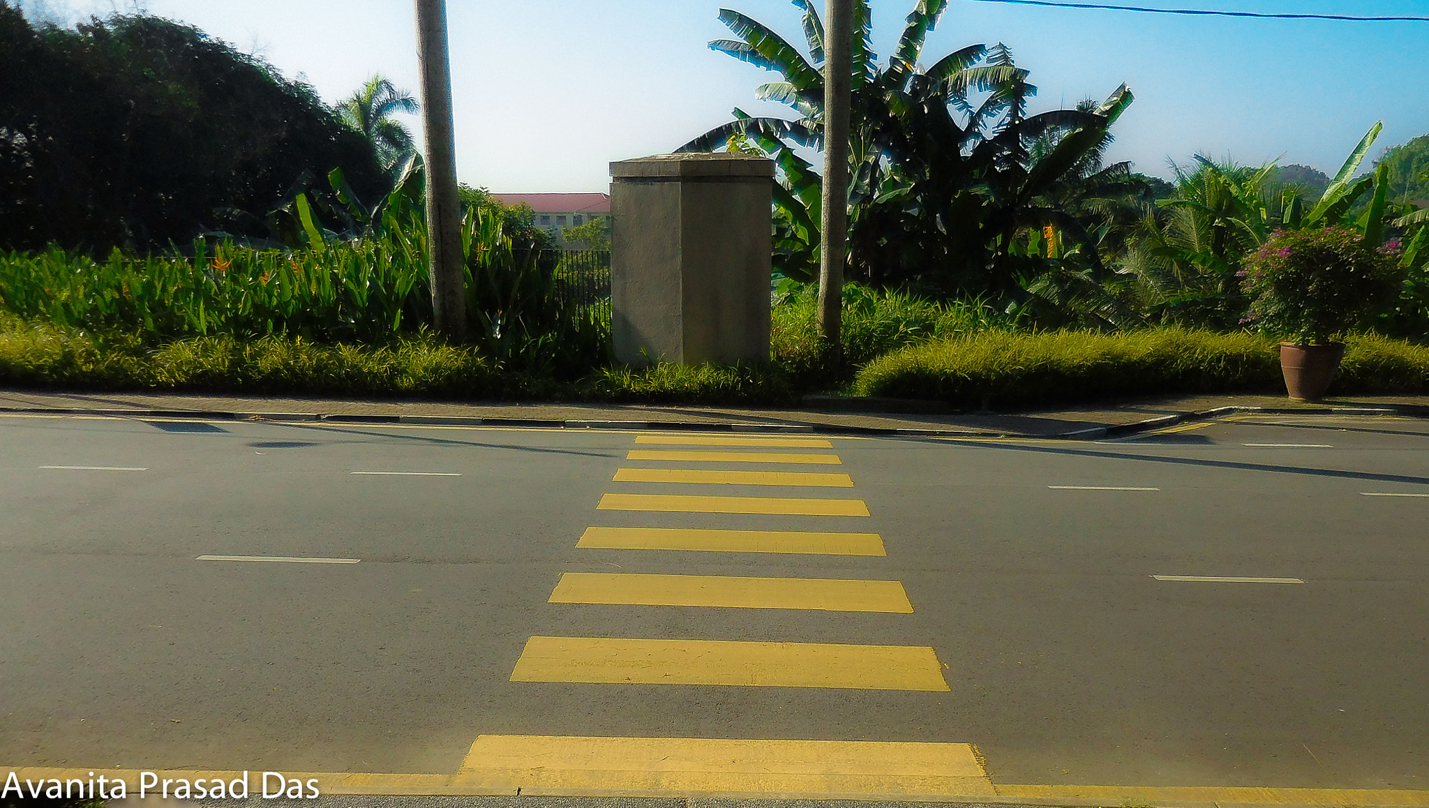 Nikon Coolpix S6900 sample photo. Avap zebra crossing leading lines (of ) photography