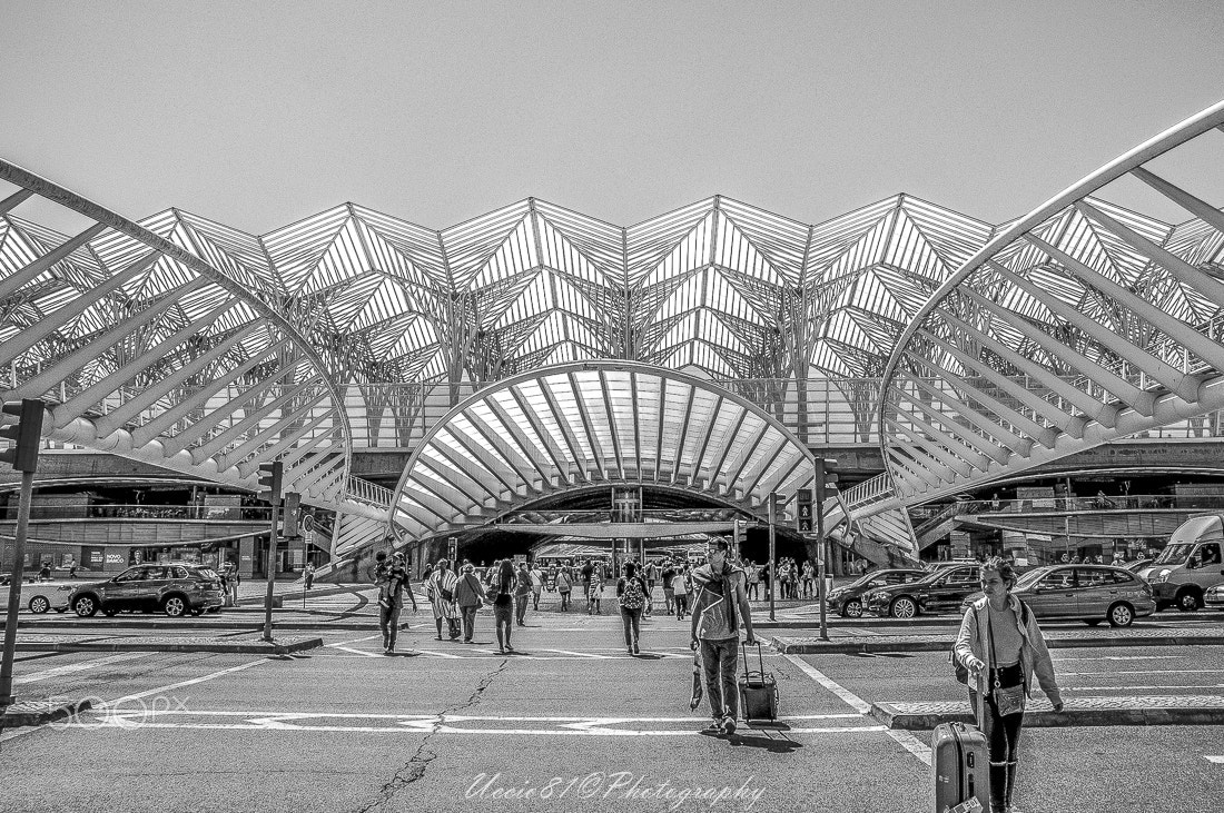 Sony Alpha DSLR-A580 + Sigma 18-200mm F3.5-6.3 DC sample photo. Ready to go - estação de lisboa-oriente photography