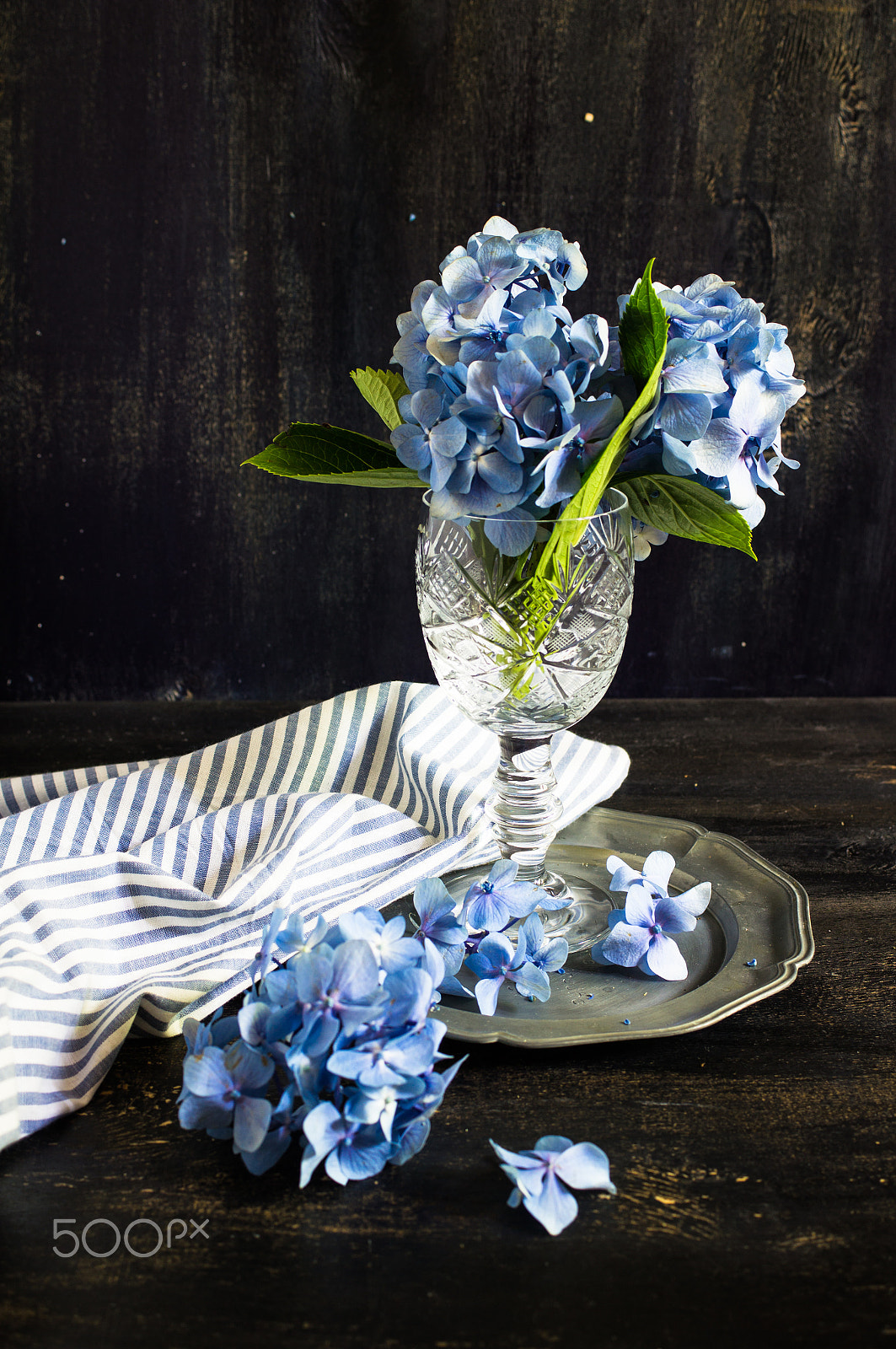Sony SLT-A55 (SLT-A55V) + Sony DT 30mm F2.8 Macro SAM sample photo. Hydrangea flowers and table setting photography