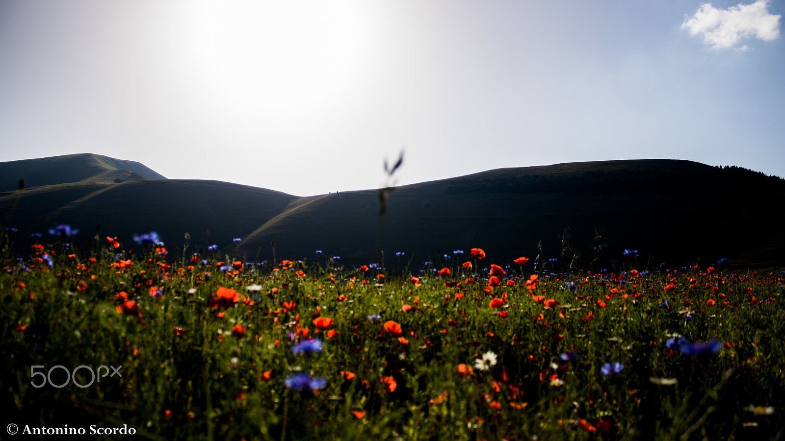 Canon EOS 760D (EOS Rebel T6s / EOS 8000D) sample photo. Castelluccio di norcia 2016 photography