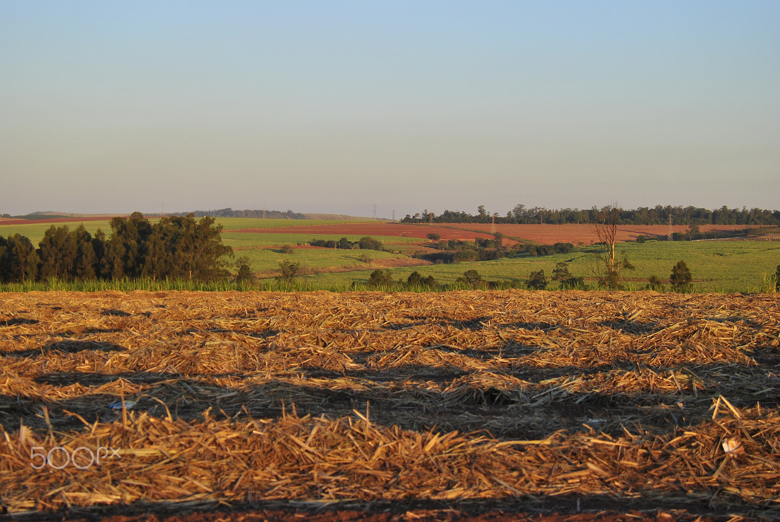 Nikon D3000 sample photo. Cana photography