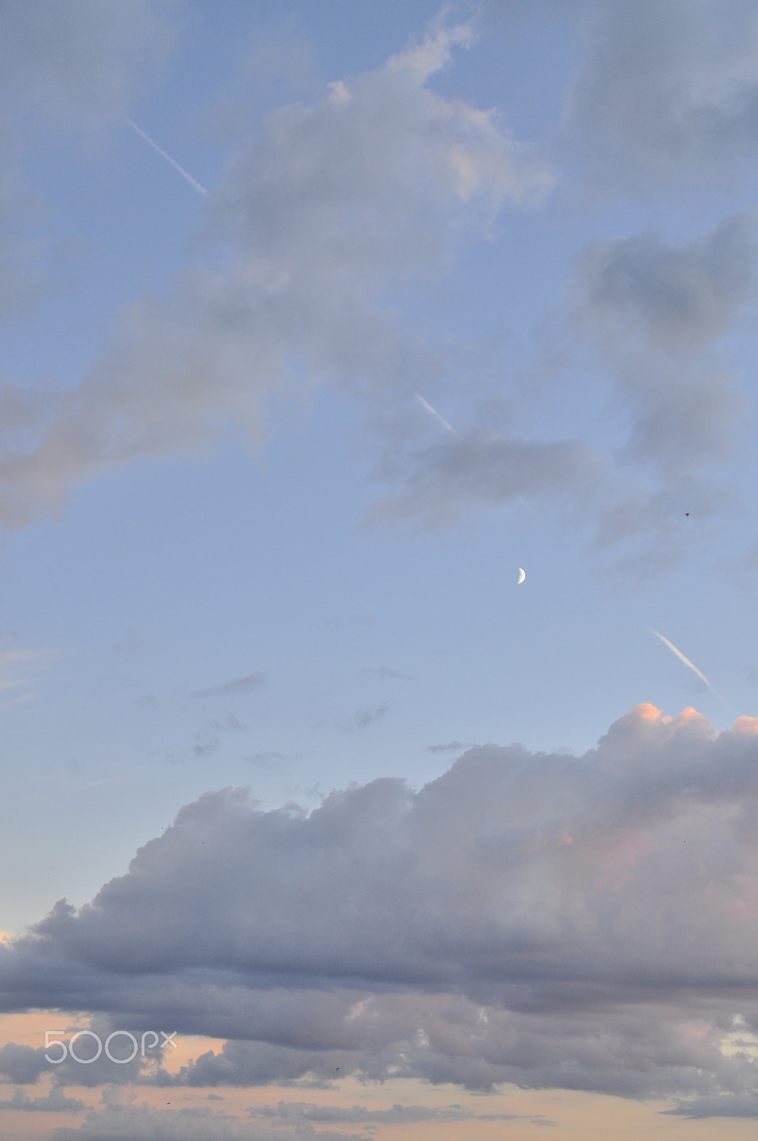 Tokina AF-X Pro 16-50mm F2.8 DX sample photo. Lonely moon photography