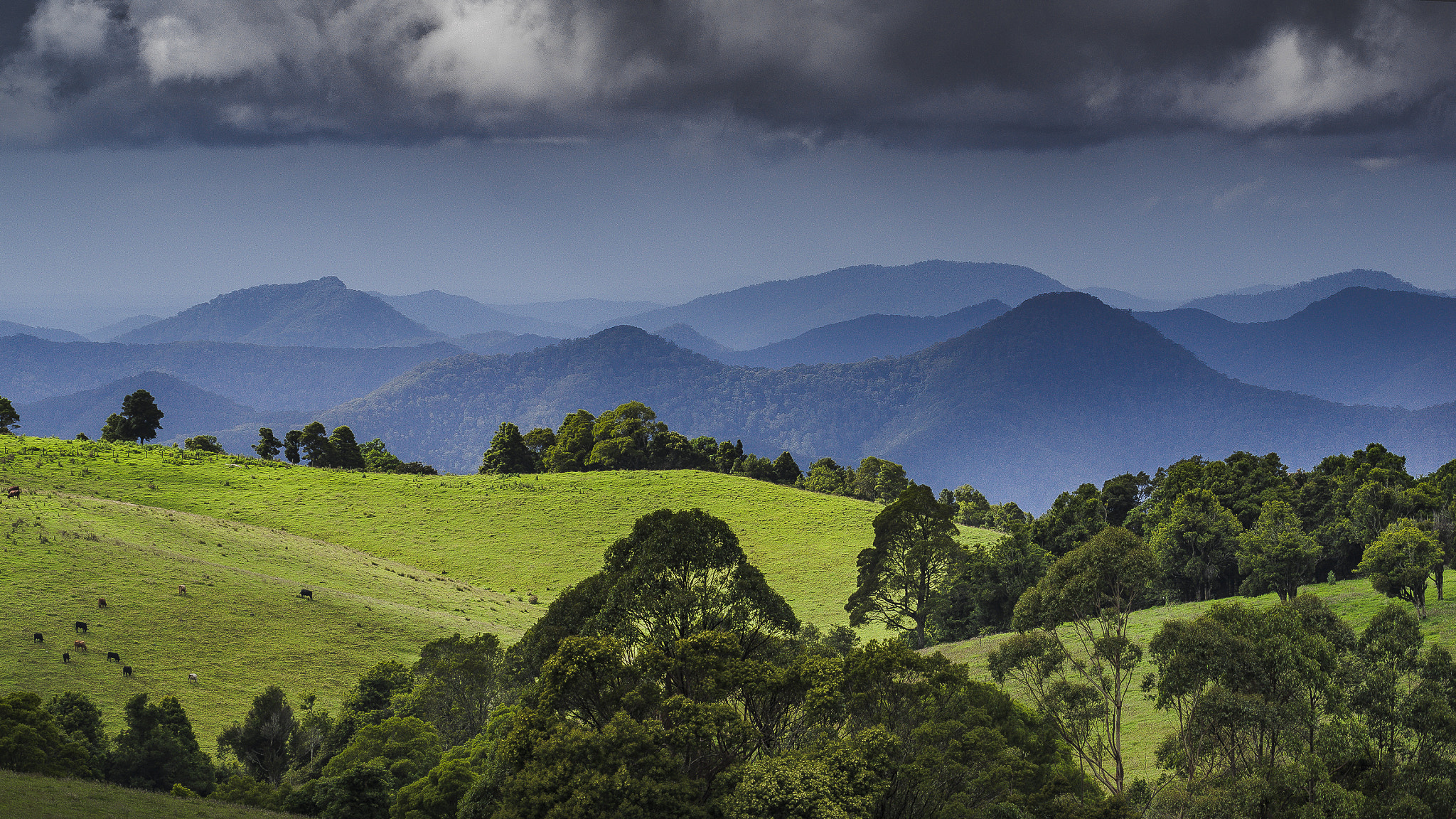 Nikon D600 sample photo. Near dorrigo photography
