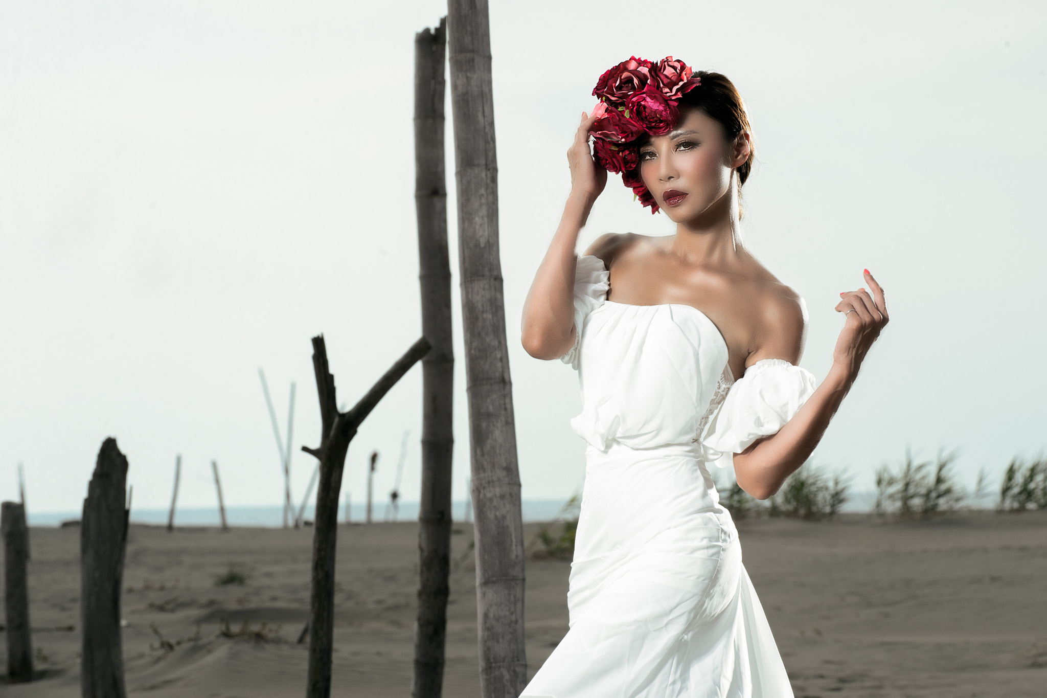 Nikon D4 sample photo. 編輯 photography