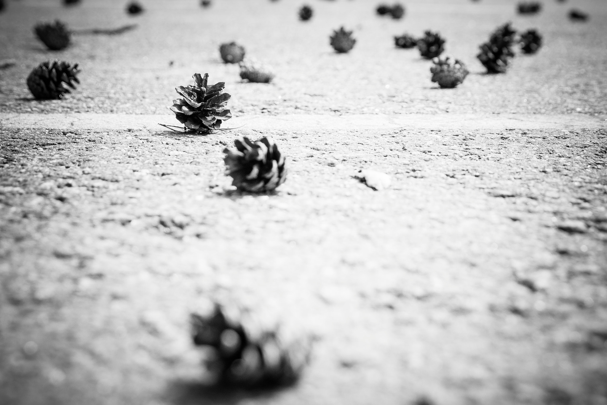 Canon EOS M3 sample photo. Parking space photography