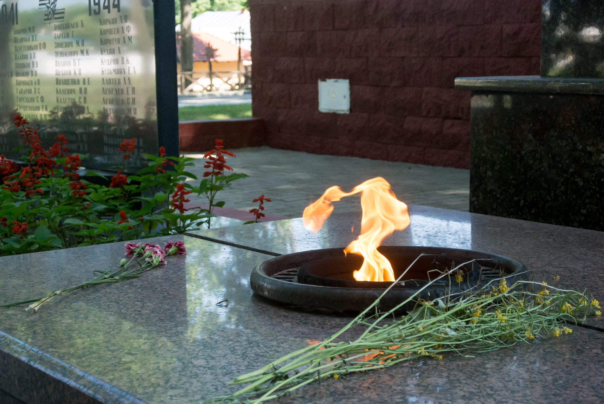 Nikon 1 Nikkor 11-27.5mm F3.5-5.6 sample photo. Eternal flame photography