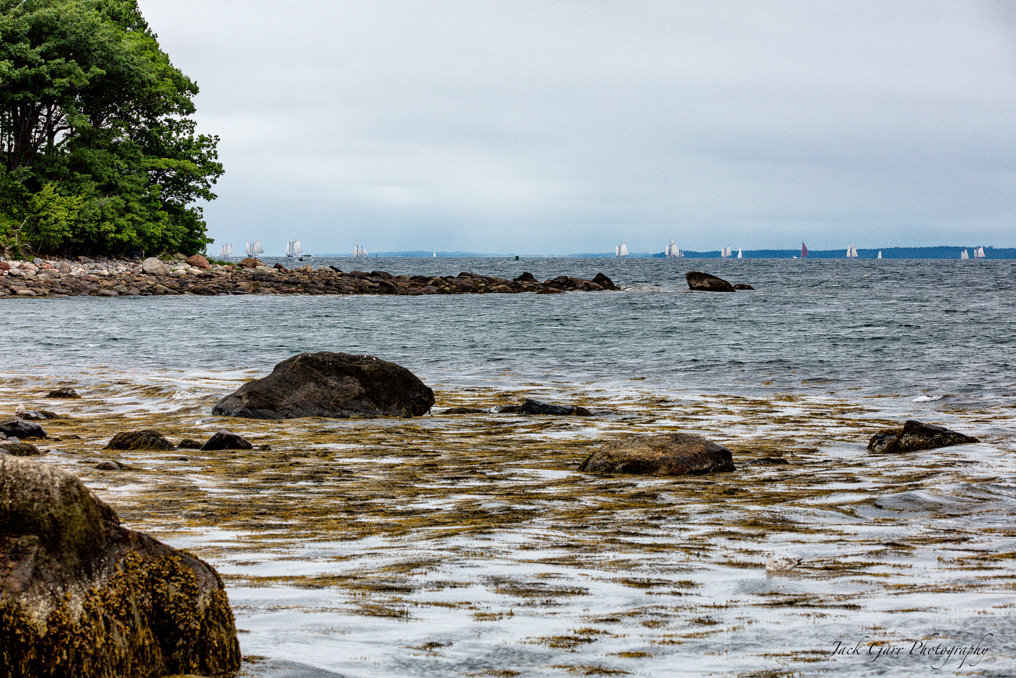 150-600mm F5-6.3 DG OS HSM | Sports 014 sample photo. Maine great schooner race photography