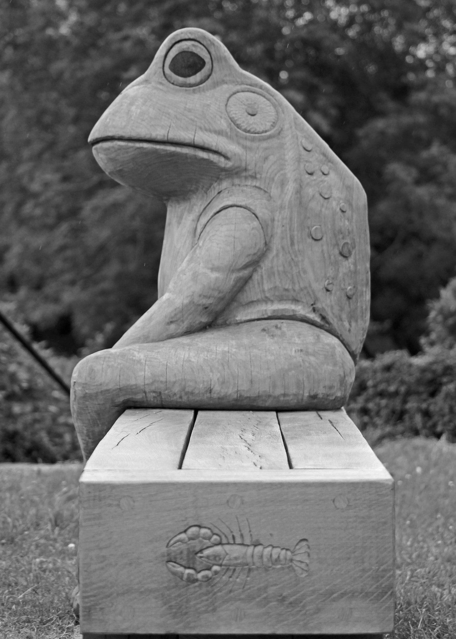 Canon EOS 1100D (EOS Rebel T3 / EOS Kiss X50) + Canon EF-S 55-250mm F4-5.6 IS STM sample photo. Frog carving photography