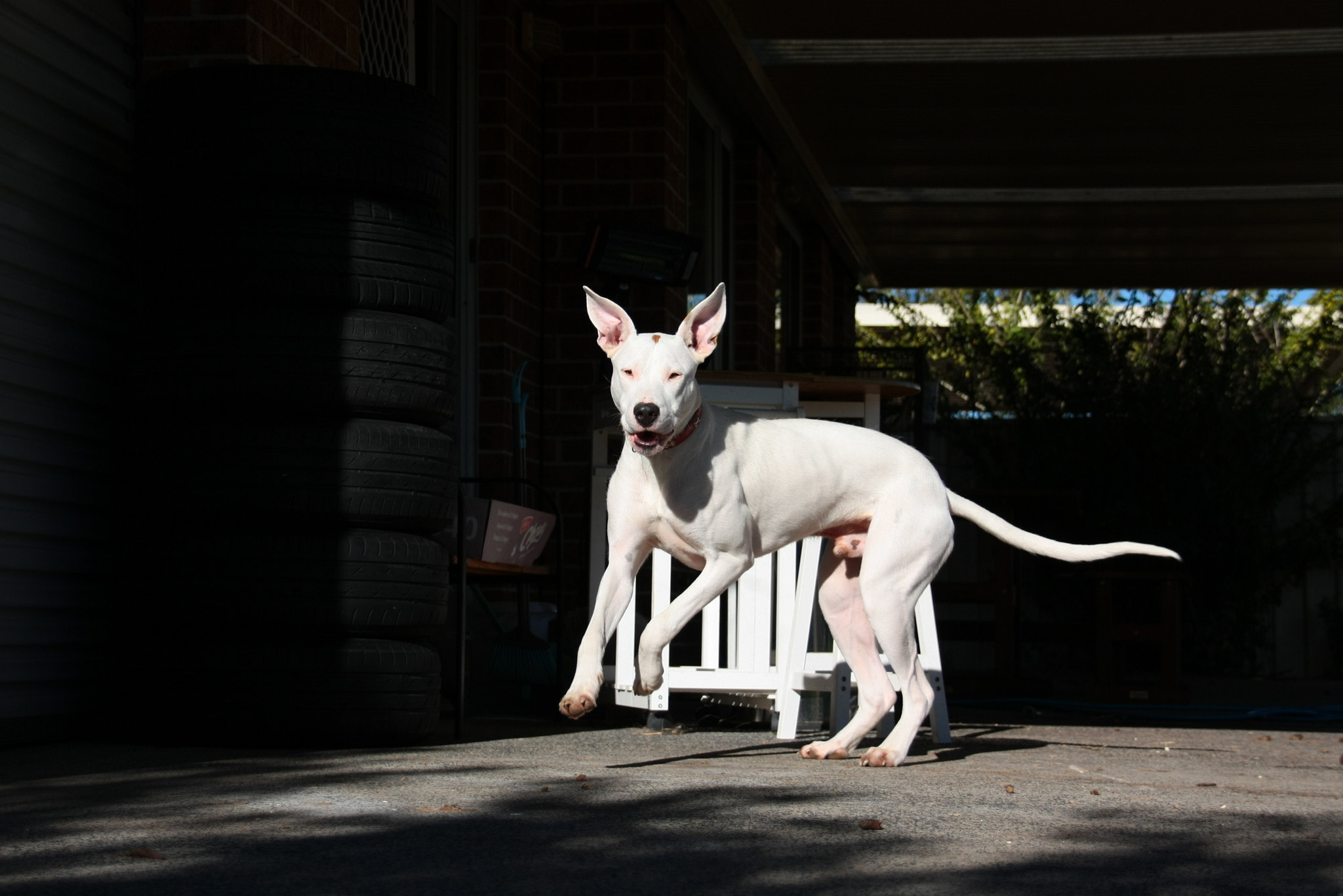 Sigma 18-200mm f/3.5-6.3 DC OS sample photo. Archer popcorning photography
